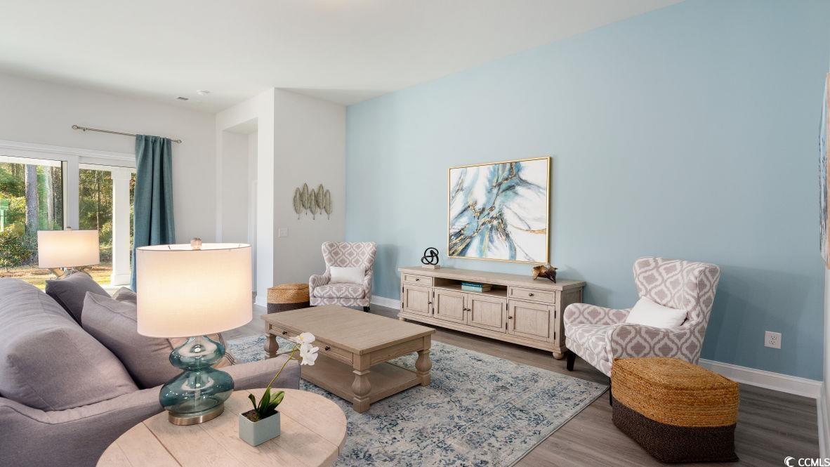 325 Wingspan Ct., Myrtle Beach, South Carolina image 12