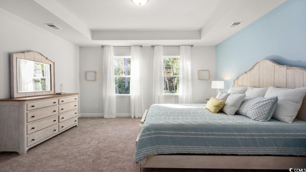 325 Wingspan Ct., Myrtle Beach, South Carolina image 19