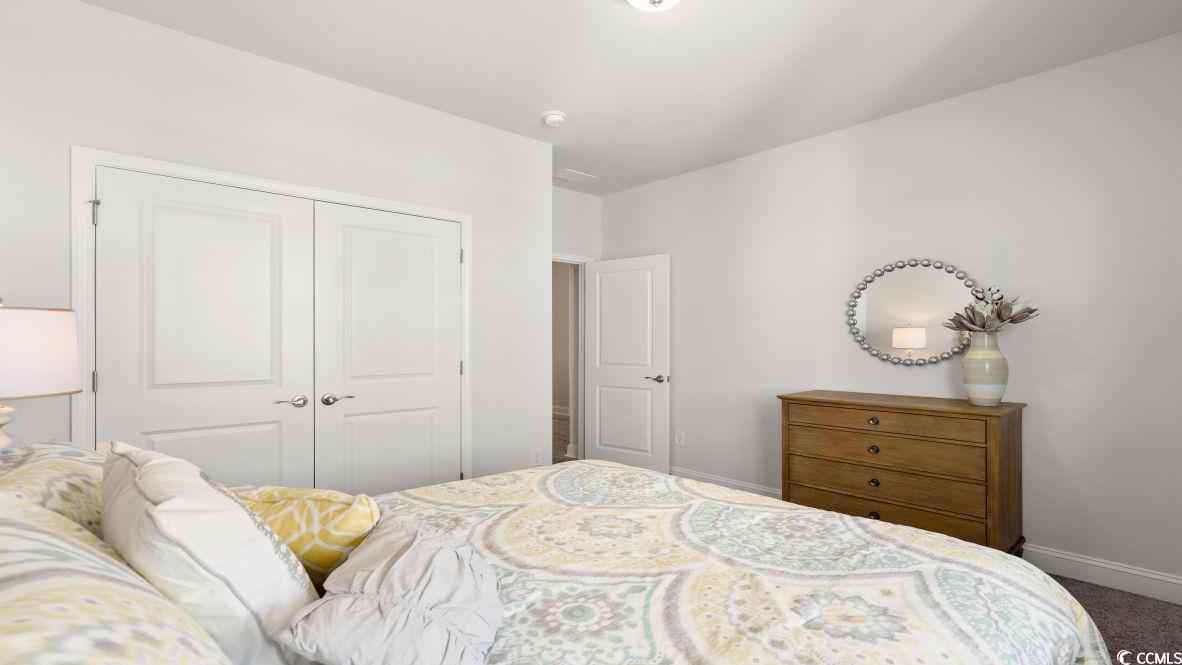 325 Wingspan Ct., Myrtle Beach, South Carolina image 24