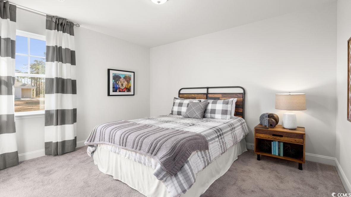 325 Wingspan Ct., Myrtle Beach, South Carolina image 27