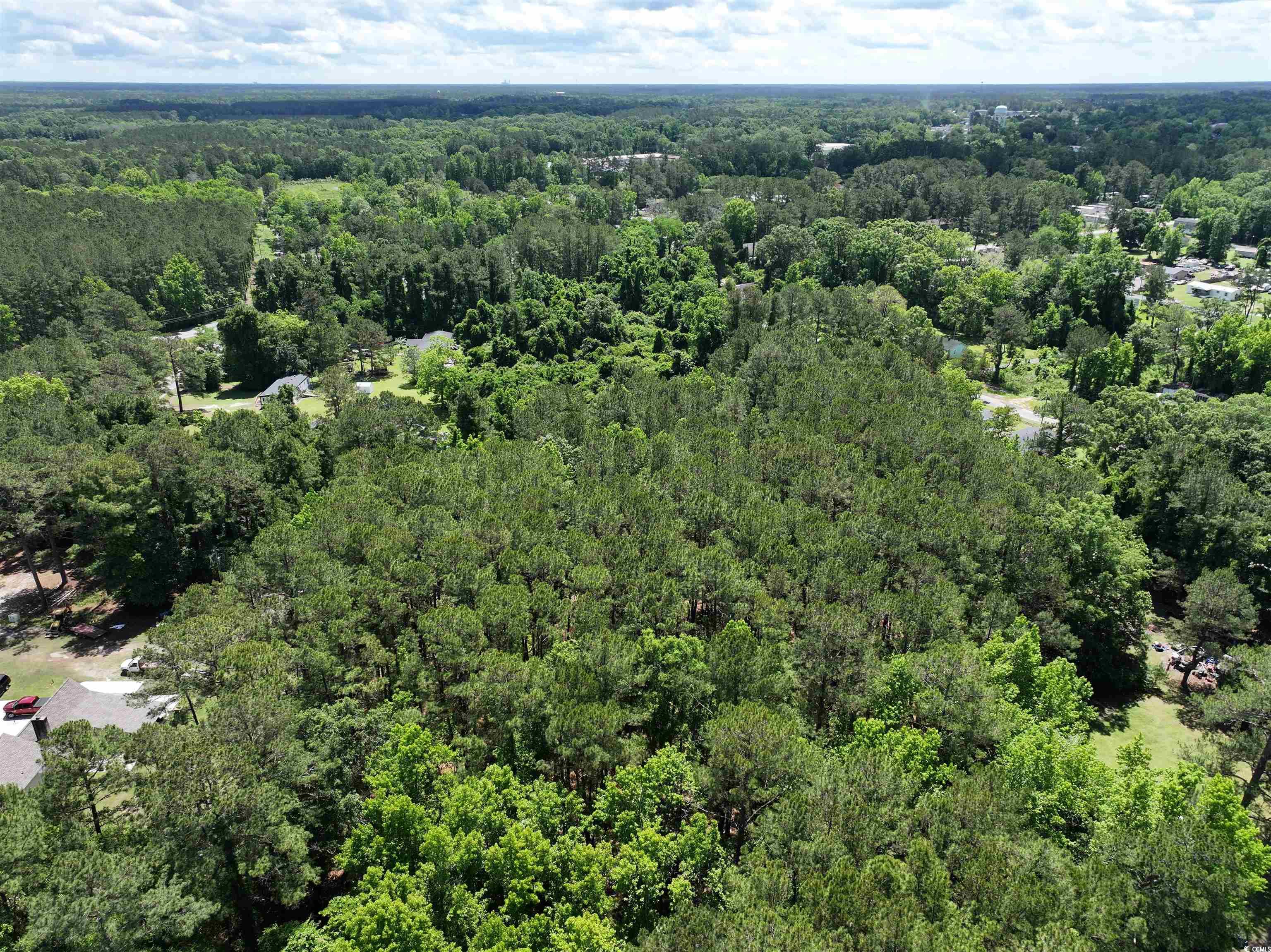 00 N Beech Ave., Andrews, South Carolina image 18