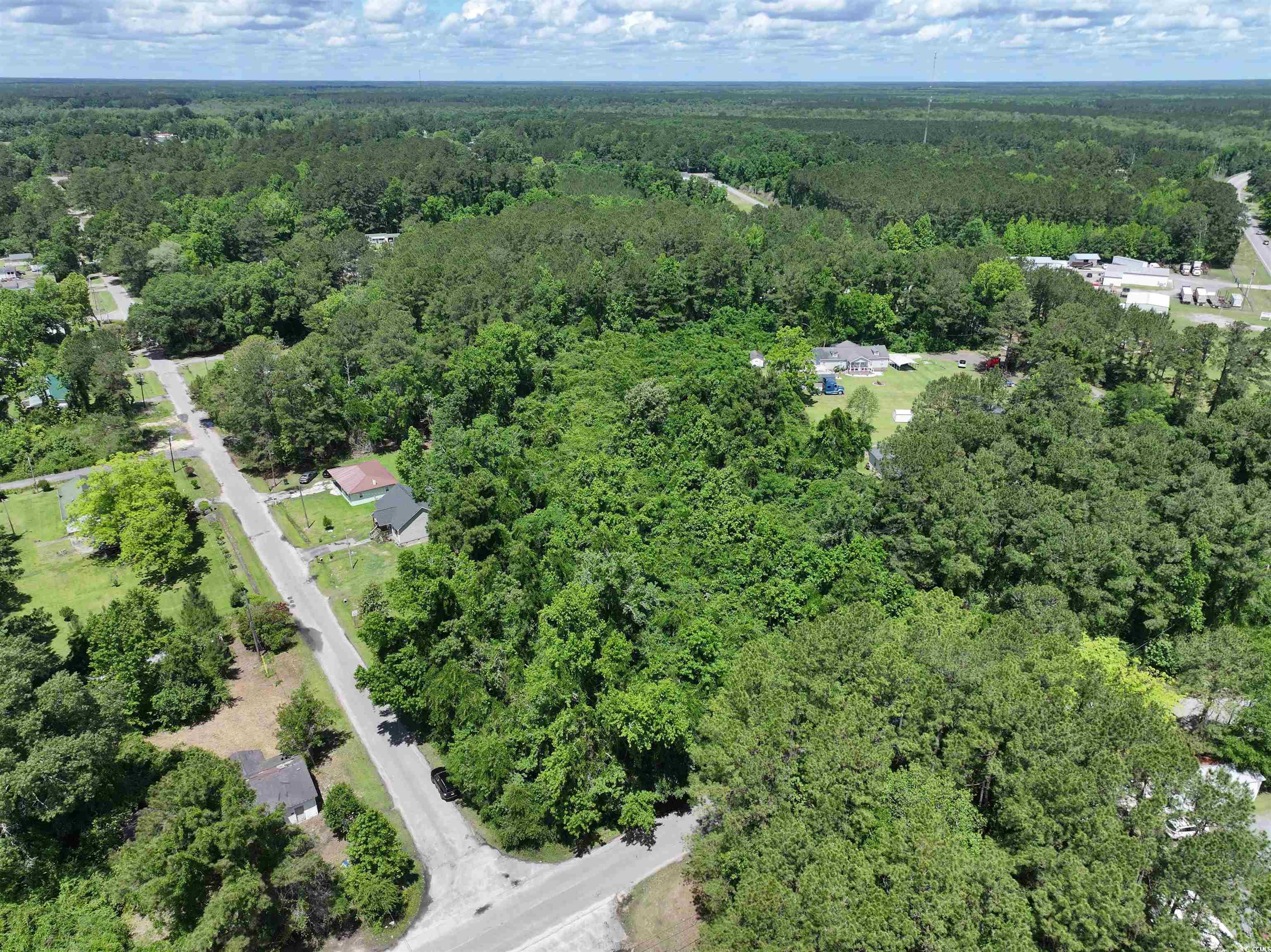 00 N Beech Ave., Andrews, South Carolina image 19