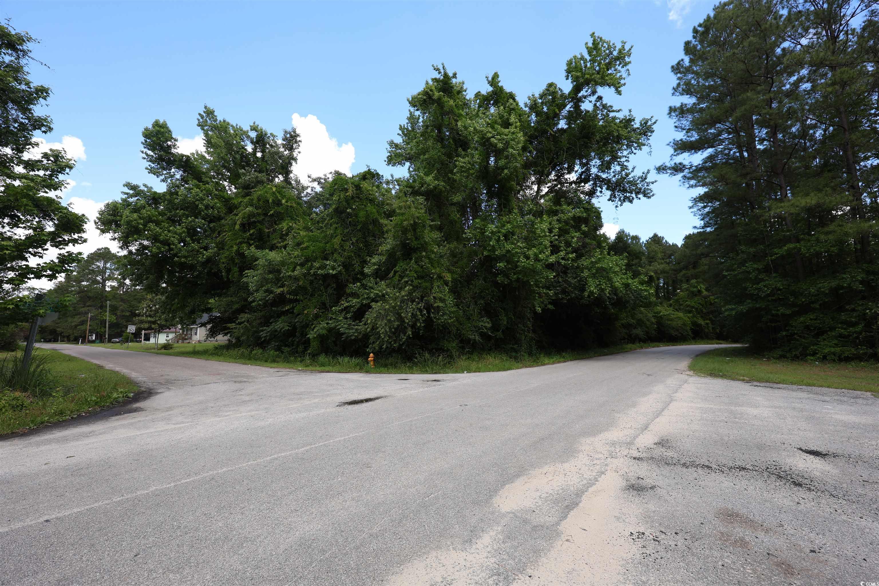 00 N Beech Ave., Andrews, South Carolina image 24