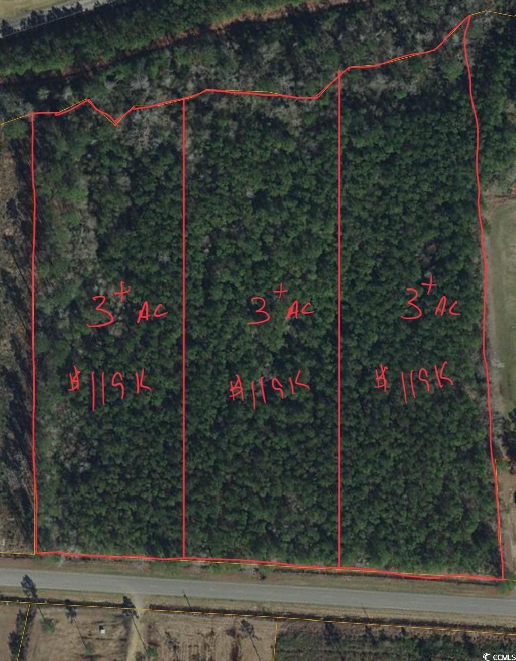 TBD Joyner Swamp Rd. Galivants Ferry, SC 29544