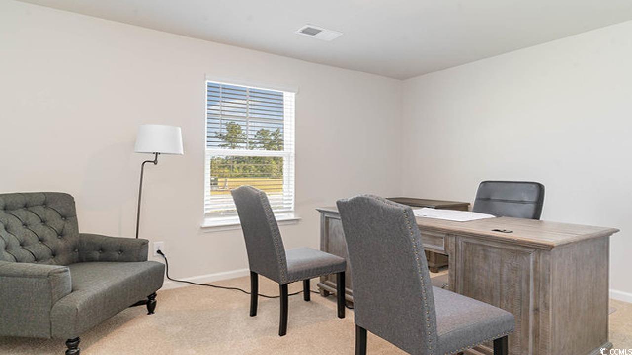 655 Culmen Ct., Myrtle Beach, South Carolina image 18