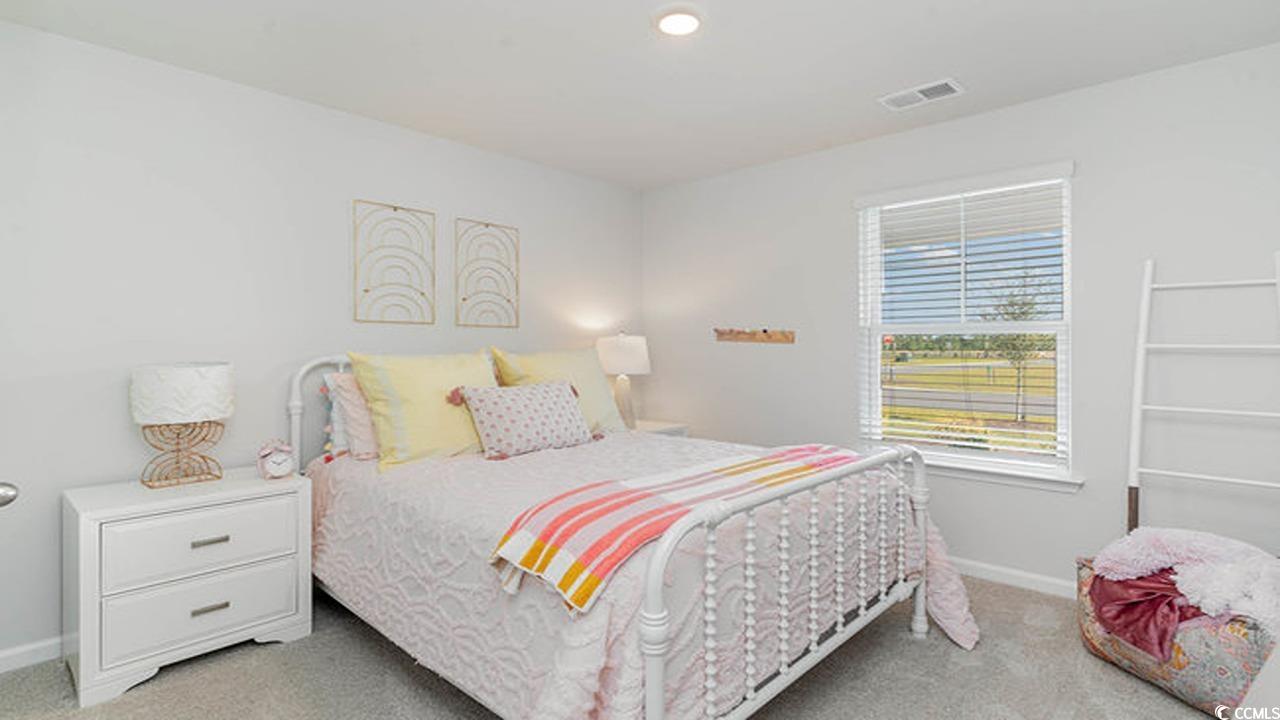 655 Culmen Ct., Myrtle Beach, South Carolina image 21