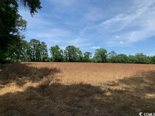 TBD Near 1195 Cedar Grove Church Rd, Cerro Gordo, North Carolina image 1
