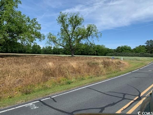TBD Near 1195 Cedar Grove Church Rd, Cerro Gordo, North Carolina image 12