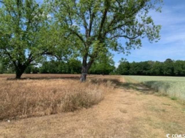 TBD Near 1195 Cedar Grove Church Rd, Cerro Gordo, North Carolina image 3