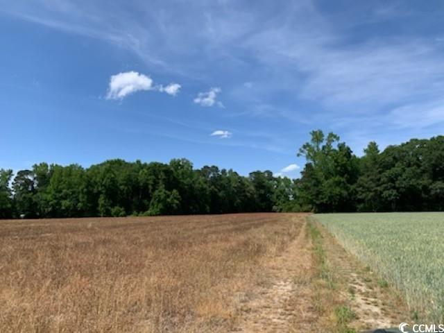 TBD Near 1195 Cedar Grove Church Rd, Cerro Gordo, North Carolina image 4