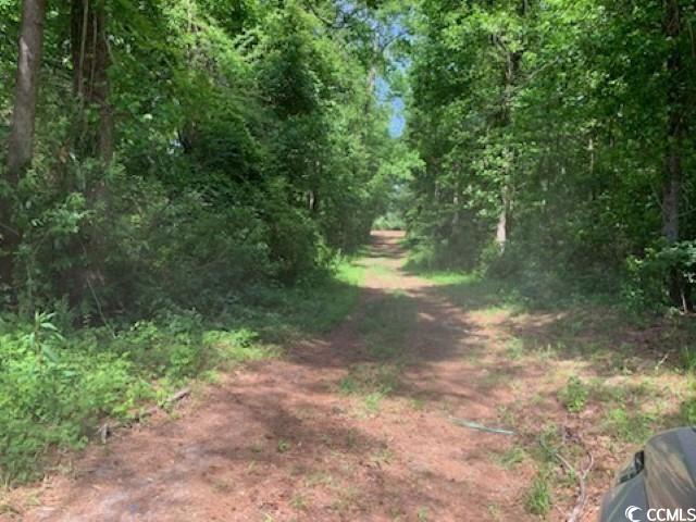 TBD Near 1195 Cedar Grove Church Rd, Cerro Gordo, North Carolina image 5