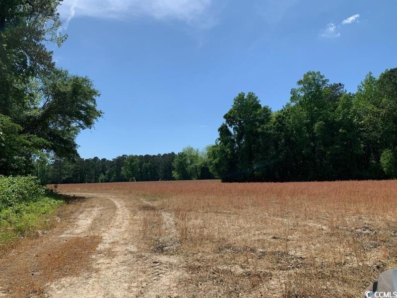 TBD Near 1195 Cedar Grove Church Rd, Cerro Gordo, North Carolina image 6