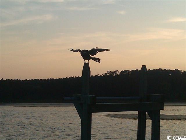 Lot 17 Golden Bear Dr., Pawleys Island, South Carolina image 23