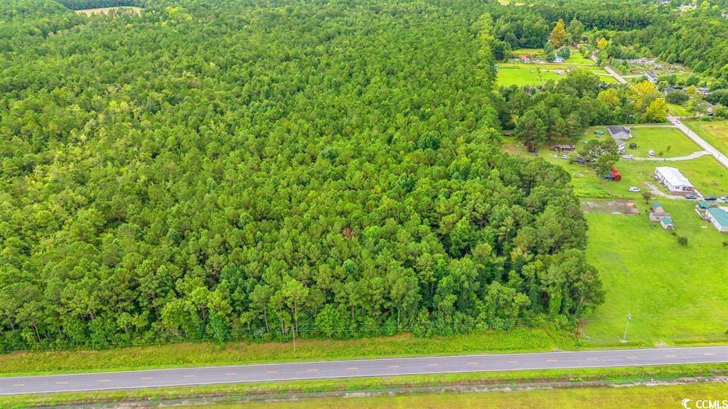TBD Trotters Ridge Rd., Loris, South Carolina image 10