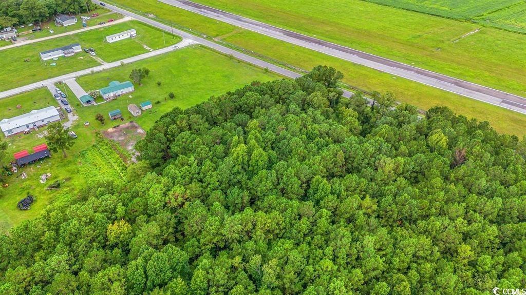 TBD Trotters Ridge Rd., Loris, South Carolina image 12