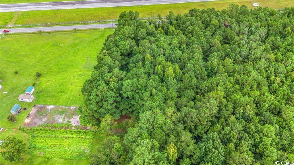 TBD Trotters Ridge Rd., Loris, South Carolina image 4