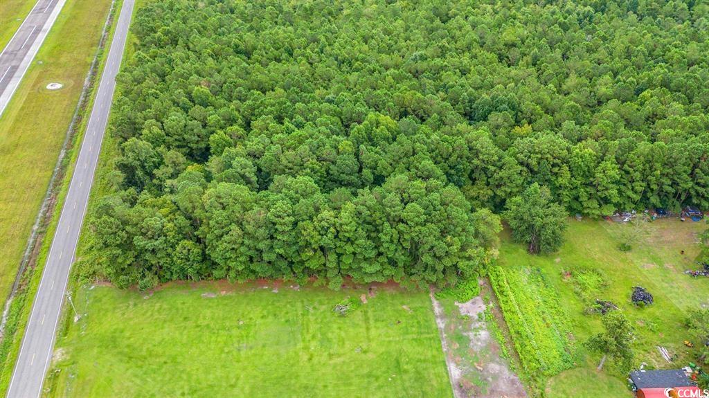 TBD Trotters Ridge Rd., Loris, South Carolina image 6