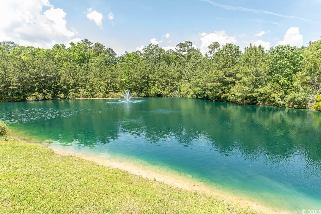 232 Palm Cove Circle, Myrtle Beach, South Carolina image 38