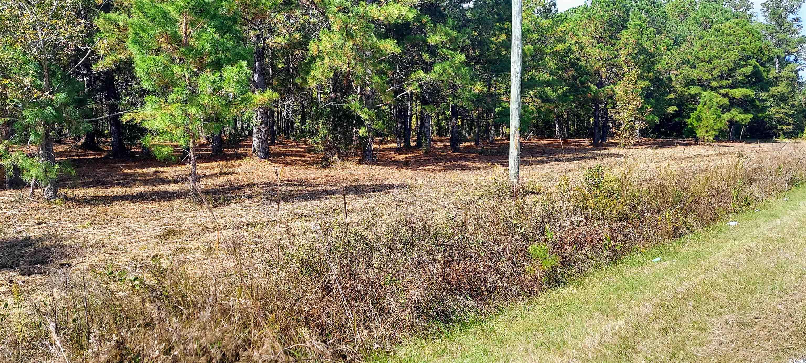 TBD Fowler Rd., Loris, South Carolina image 1