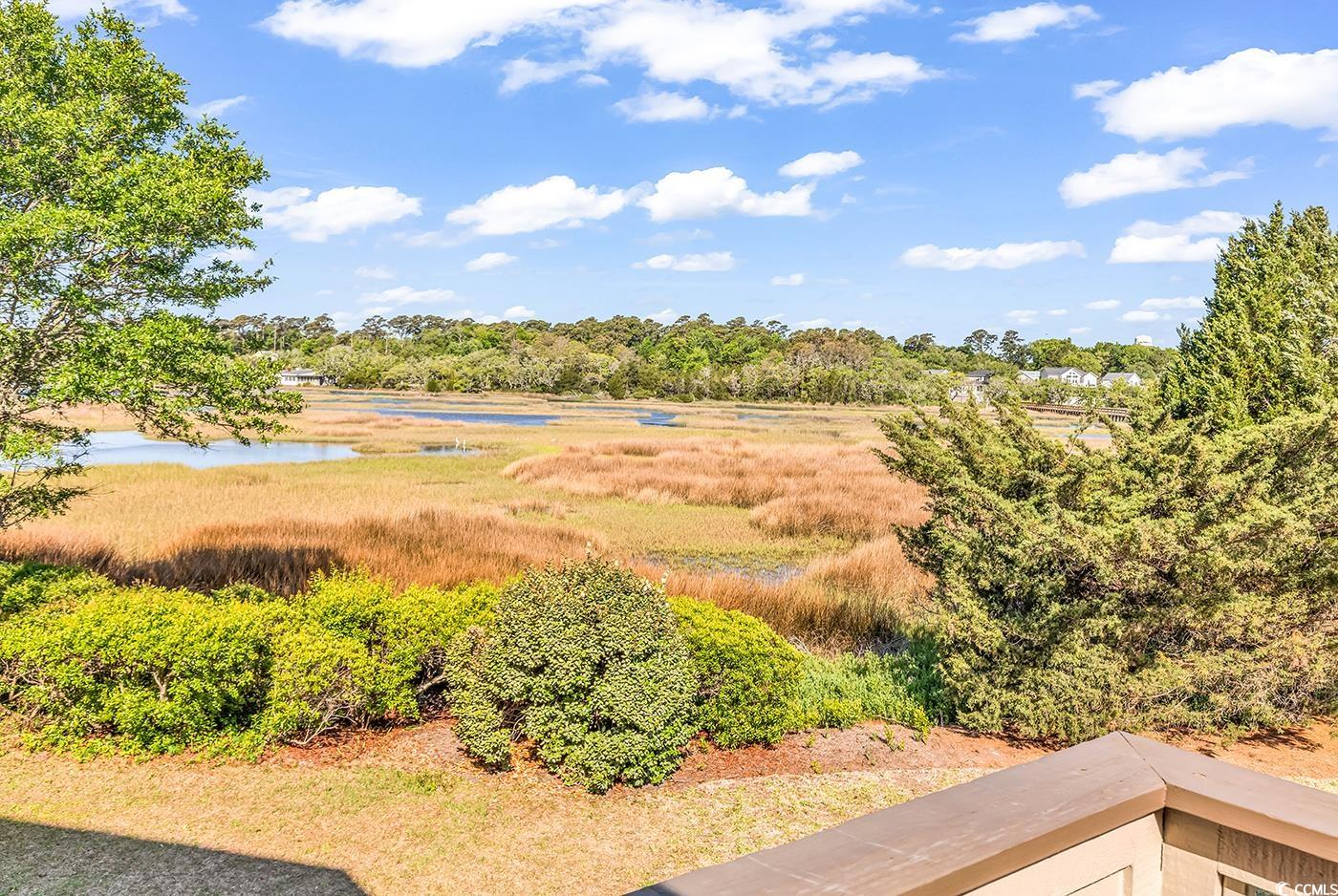 66 Lakeview Circle #106, Pawleys Island, South Carolina image 26