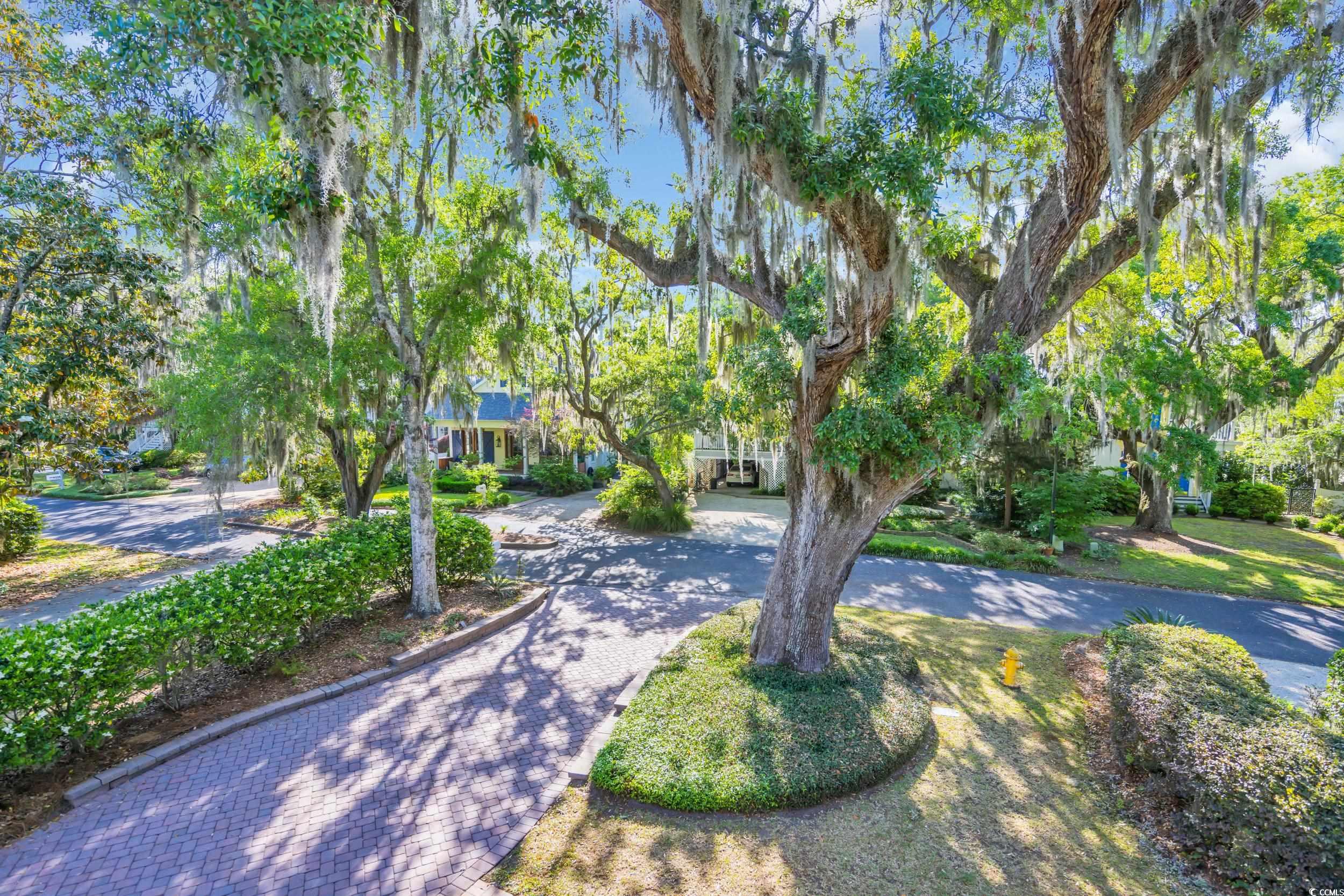 99 Berry Tree Dr., Pawleys Island, South Carolina image 4