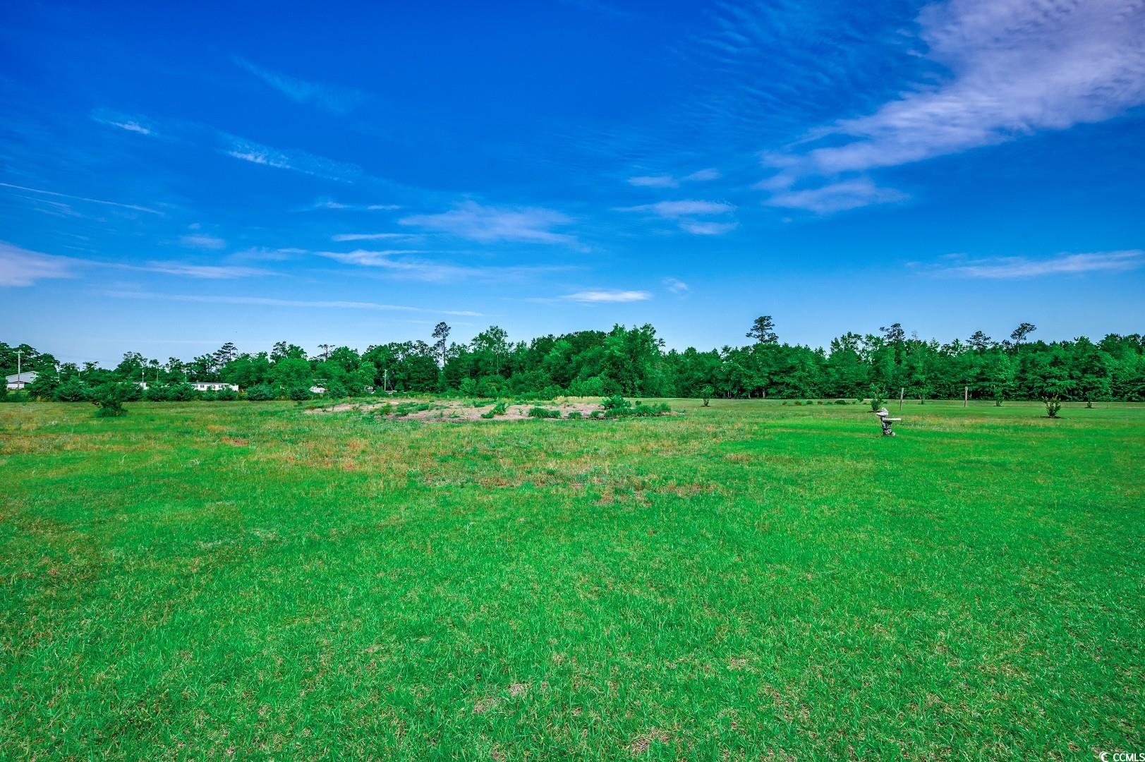 3148 Gause Rd., Loris, South Carolina image 28