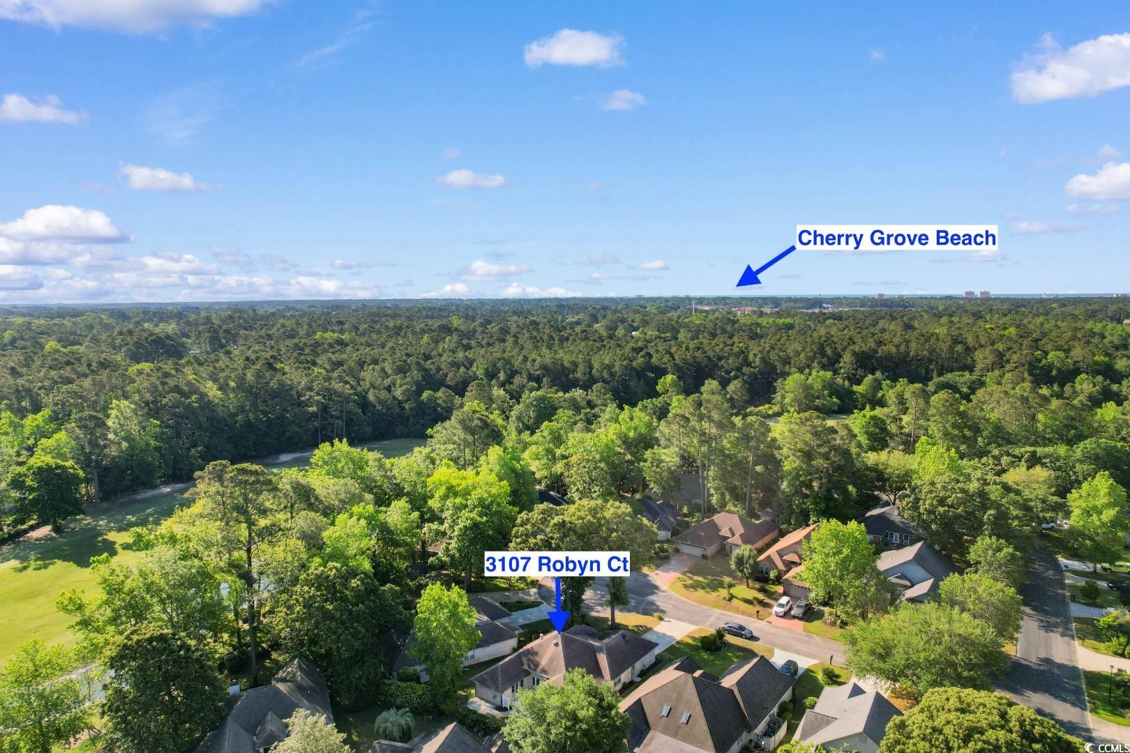 3107 Robyn Ct., Little River, South Carolina image 34