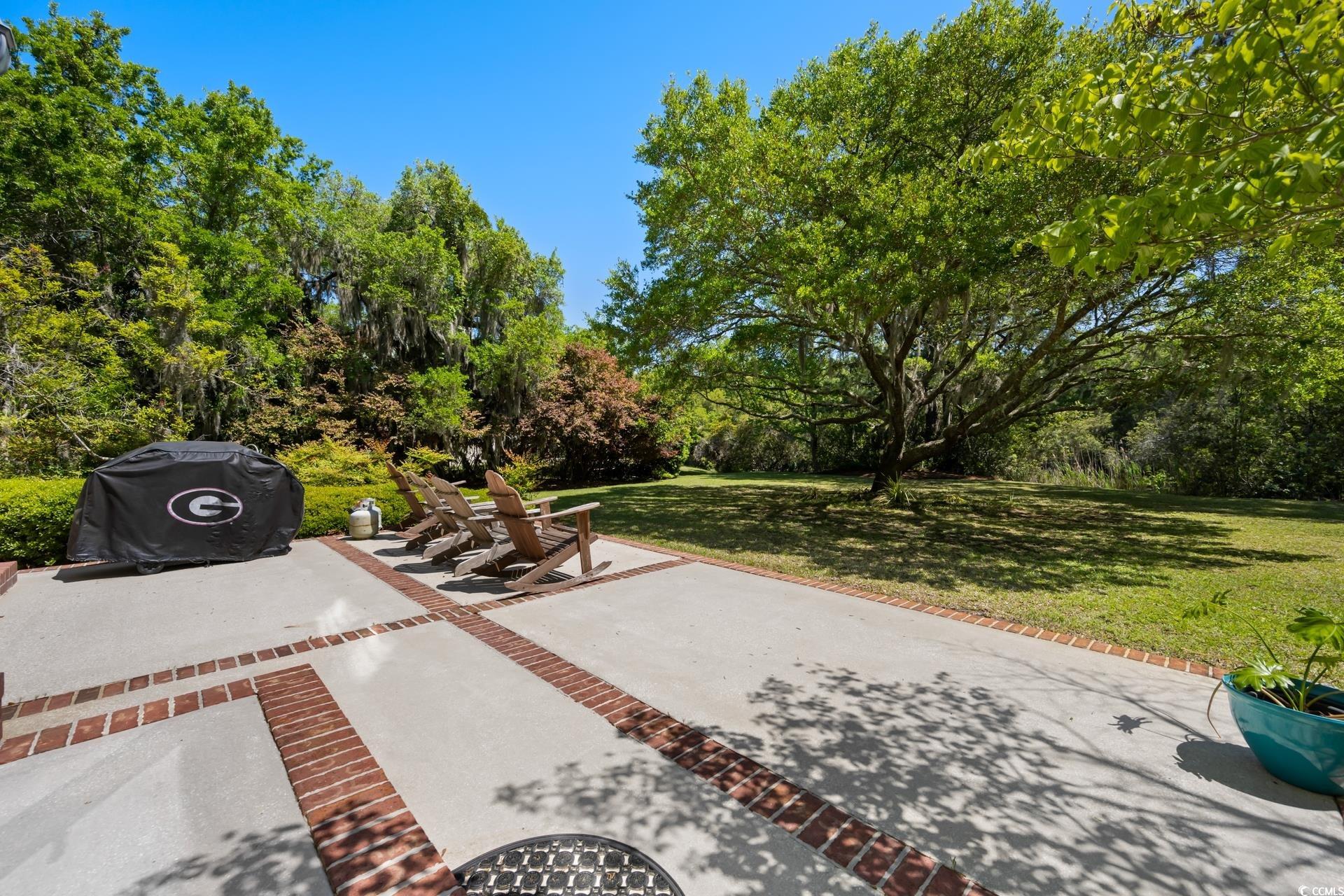 352 Old Carriage Loop, Georgetown, South Carolina image 31