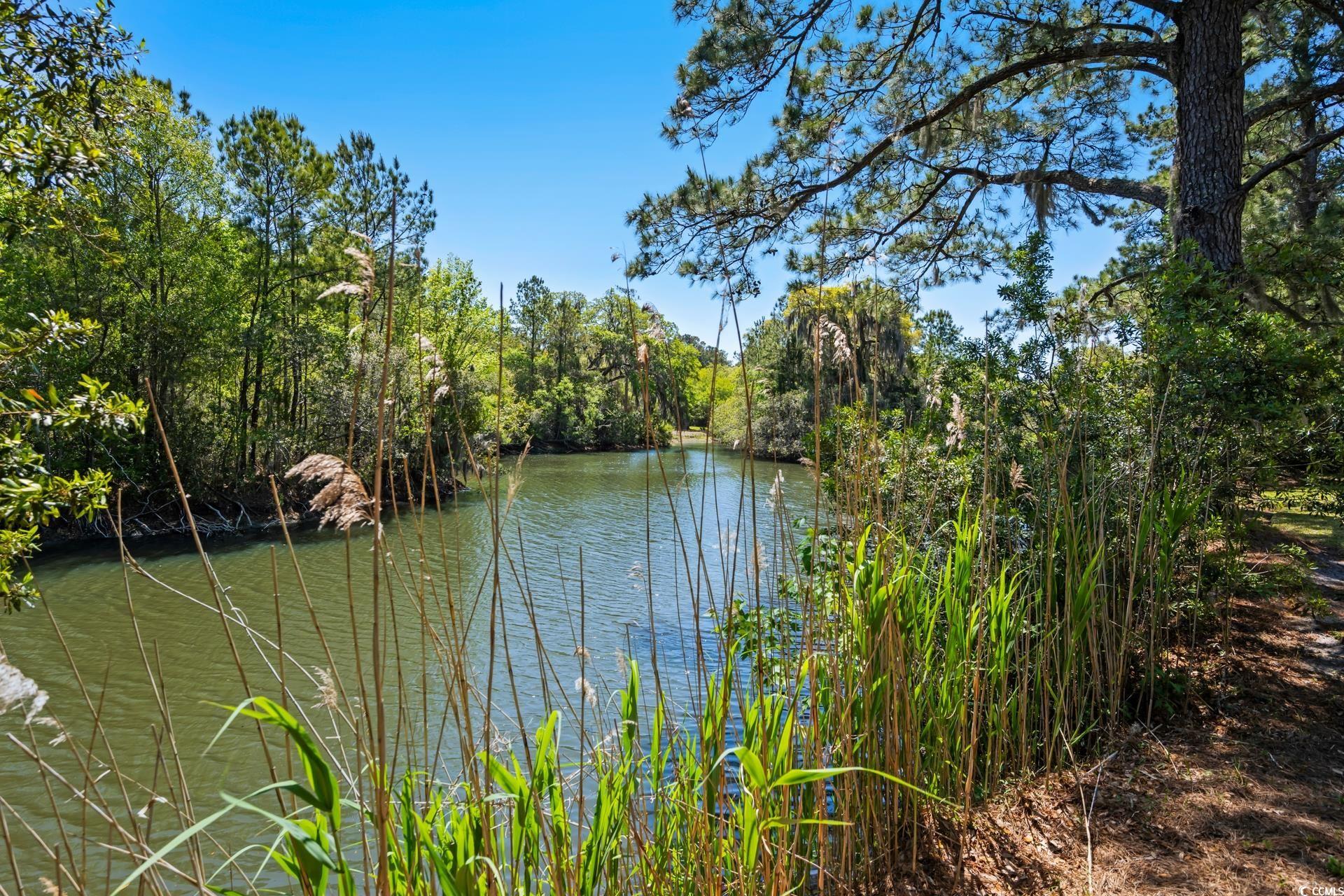 352 Old Carriage Loop, Georgetown, South Carolina image 35