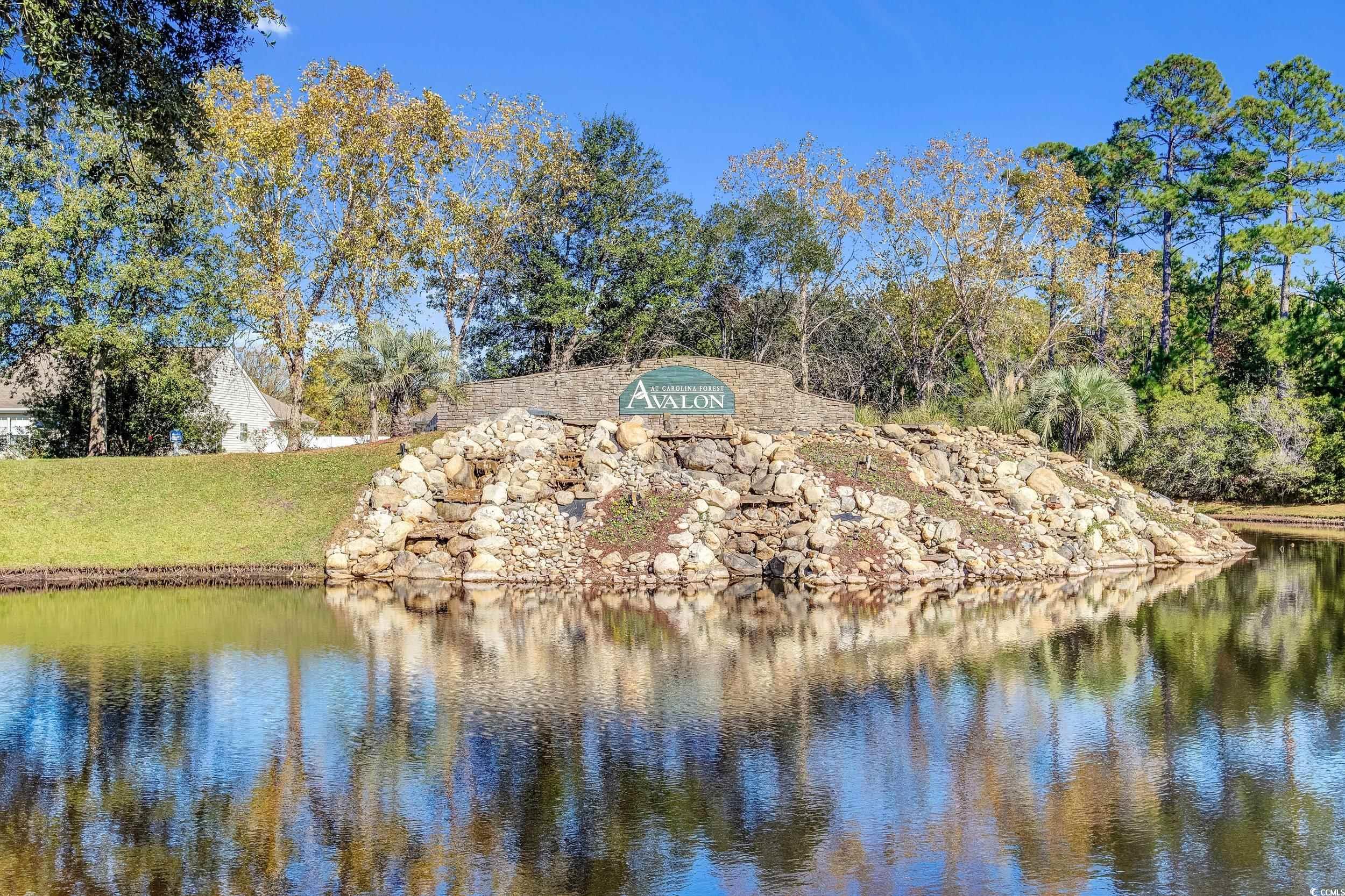 480 Dandelion Ln., Myrtle Beach, South Carolina image 27