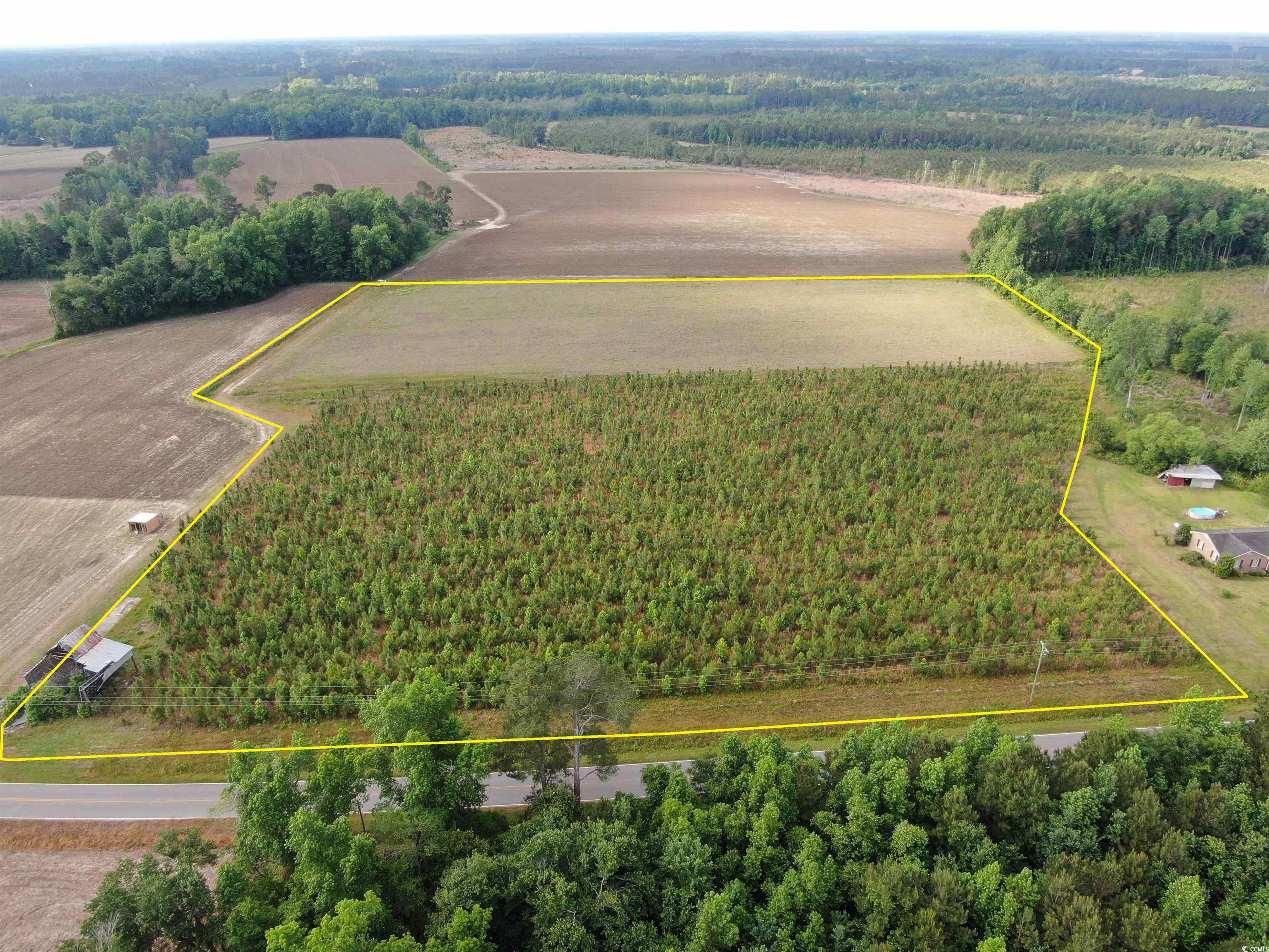 TBD Highway 430, Nichols, South Carolina image 1