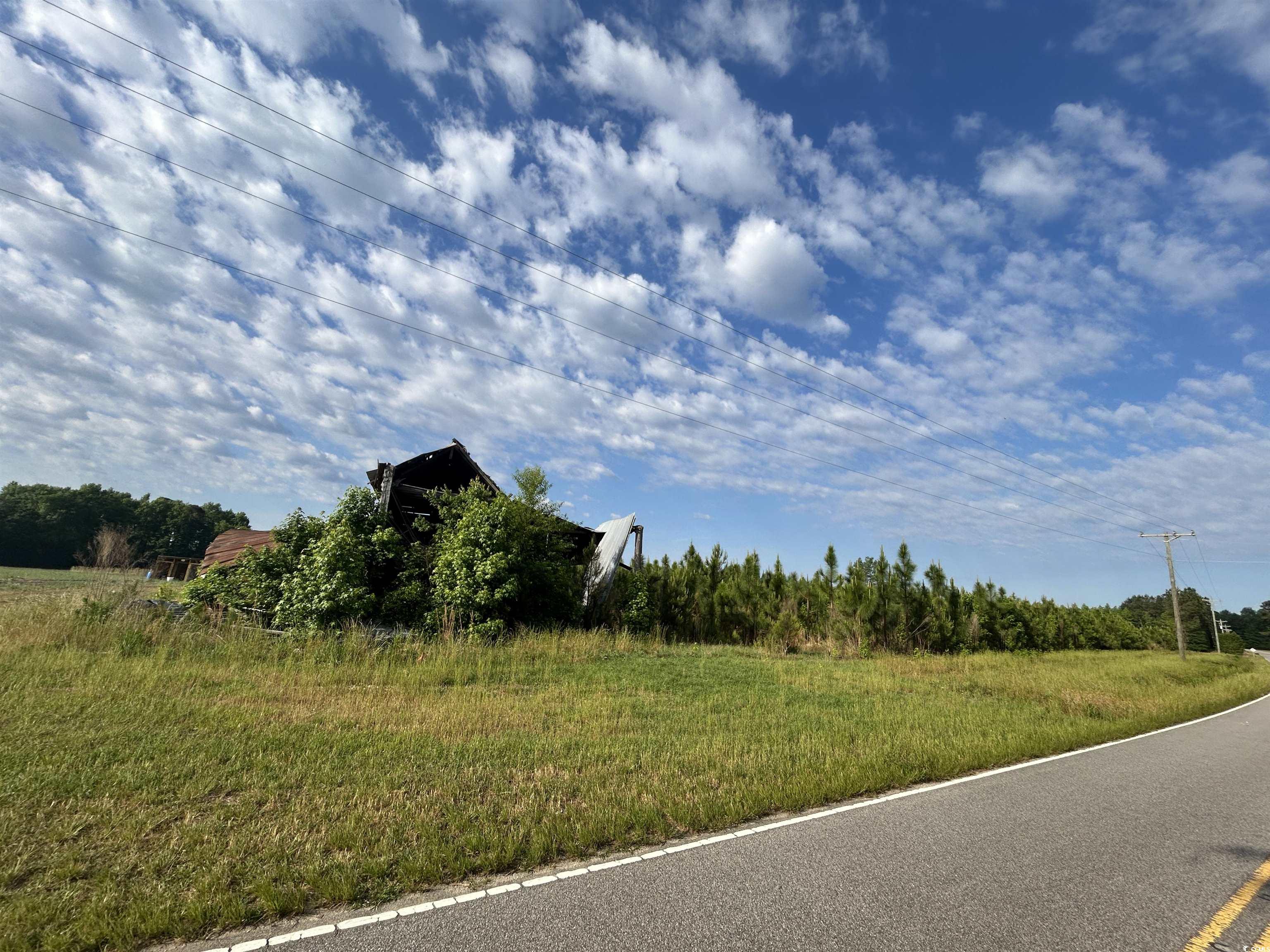 TBD Highway 430, Nichols, South Carolina image 10