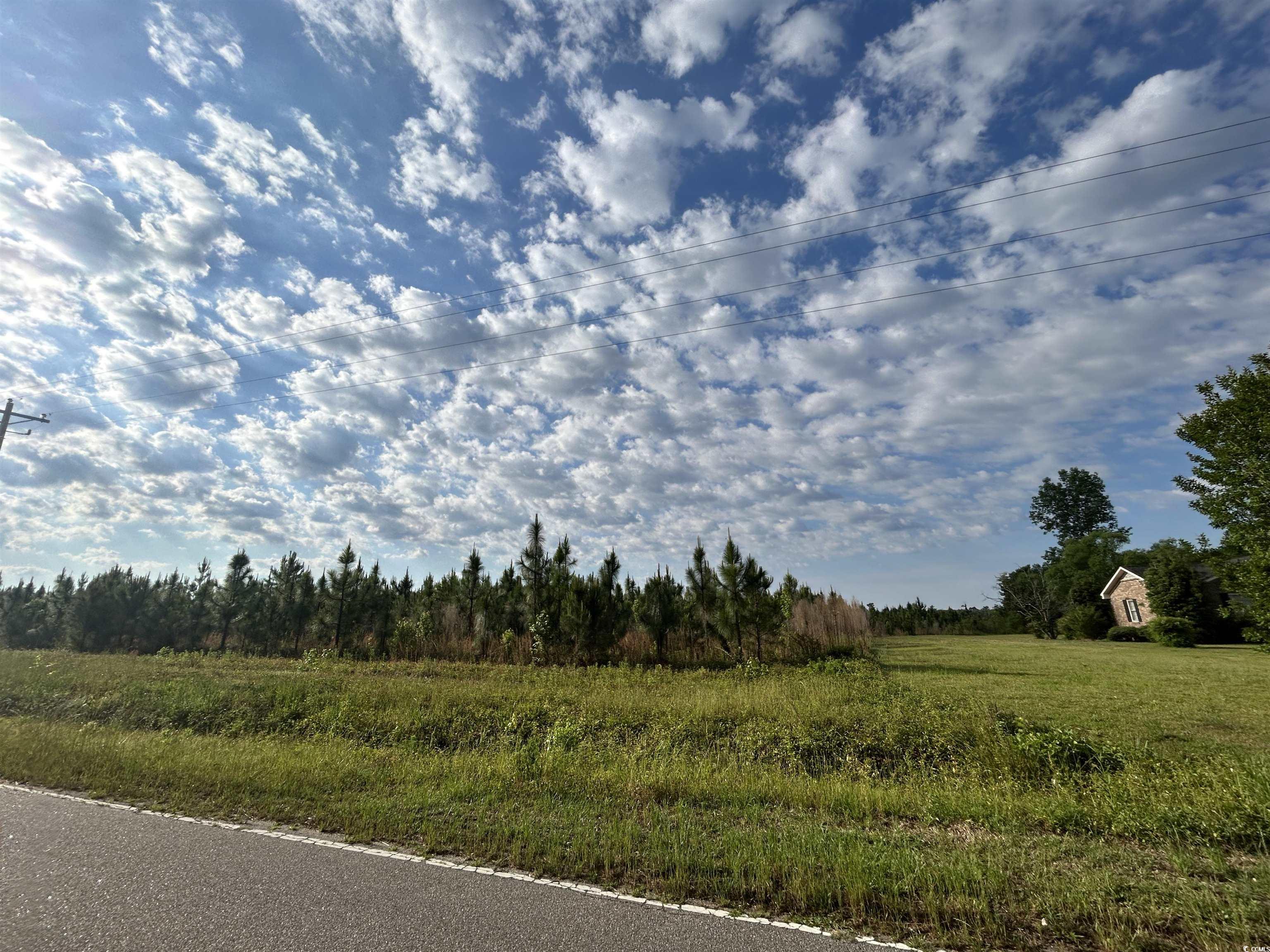 TBD Highway 430, Nichols, South Carolina image 11