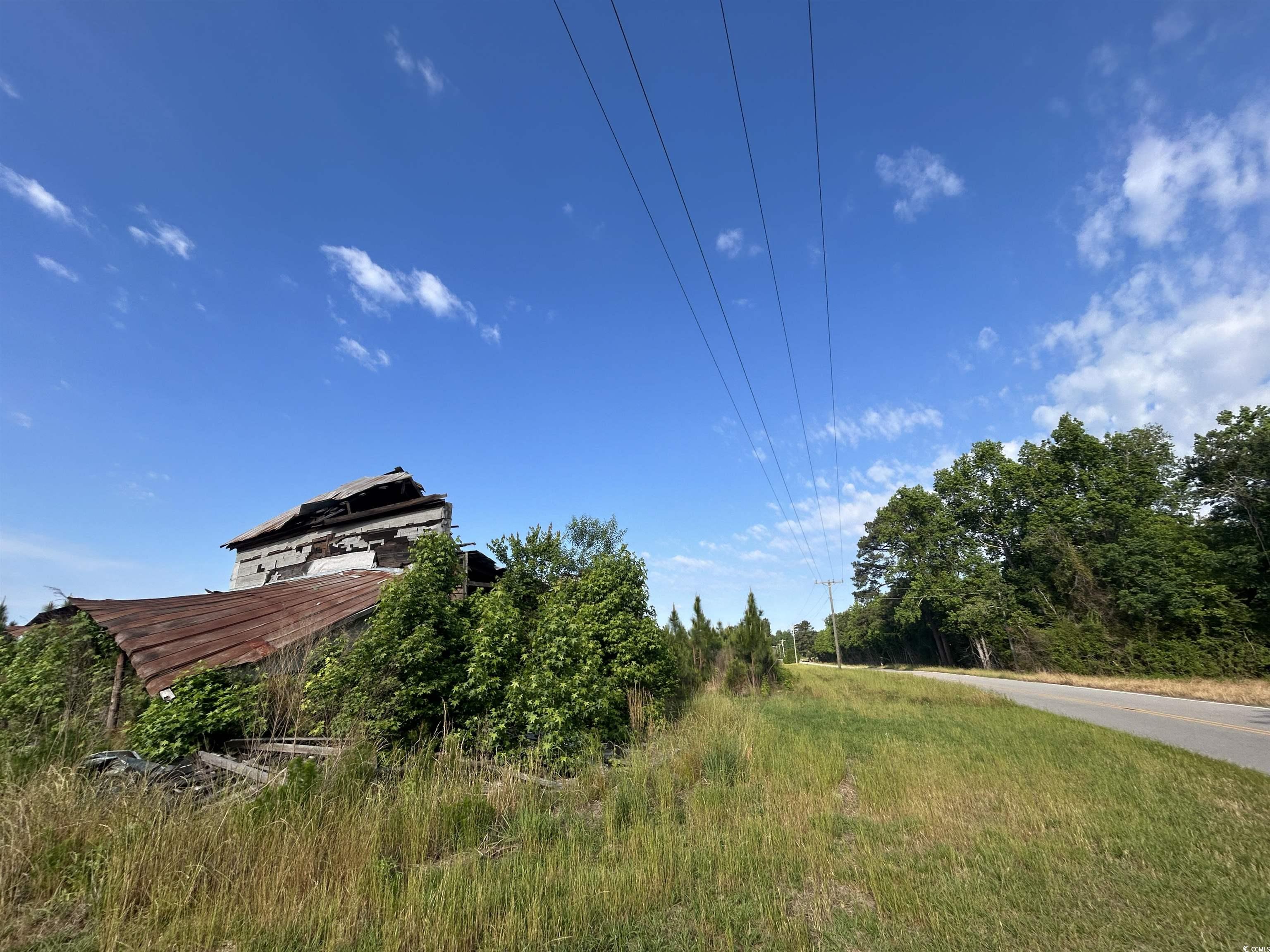 TBD Highway 430, Nichols, South Carolina image 17