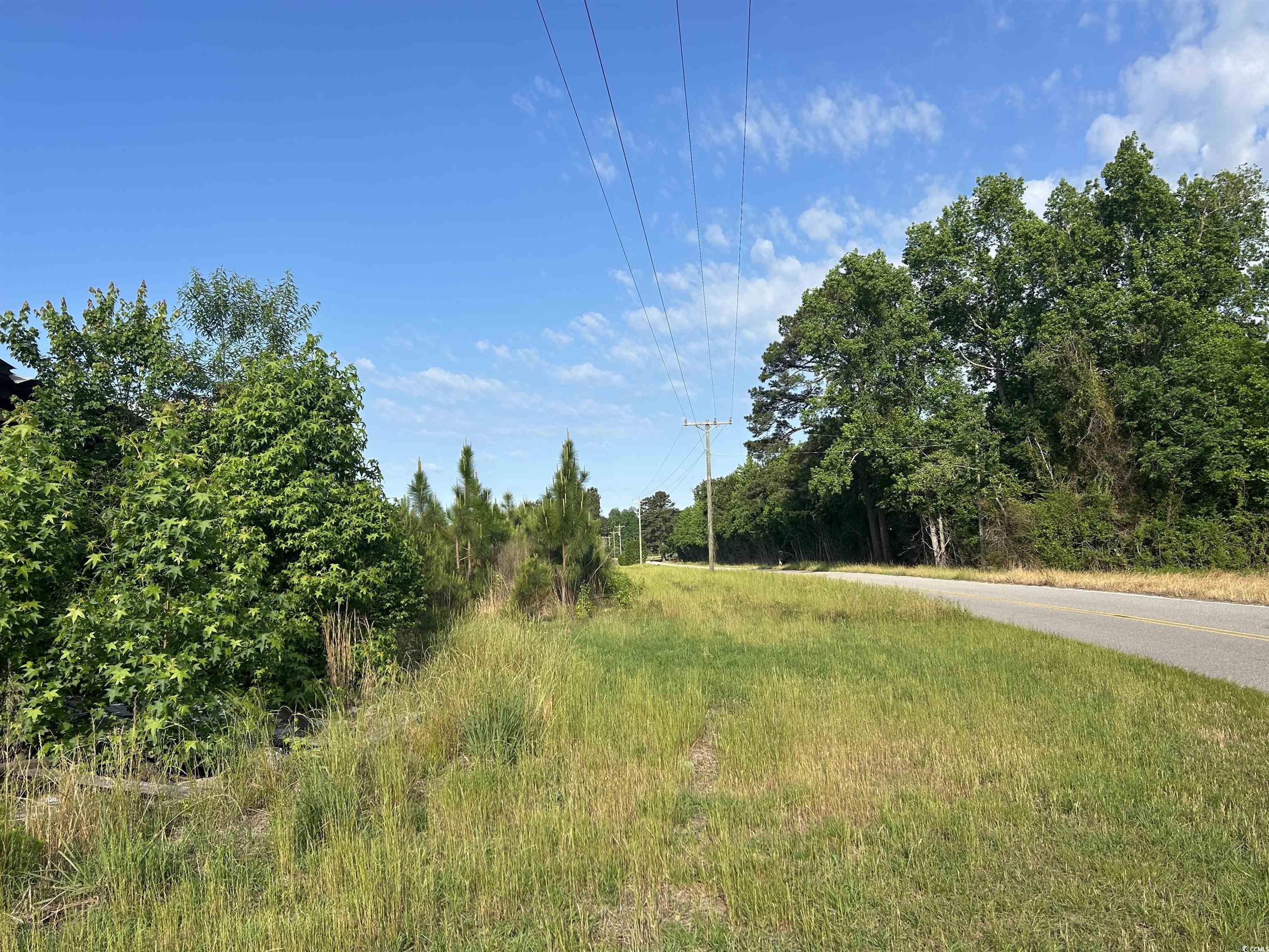 TBD Highway 430, Nichols, South Carolina image 18