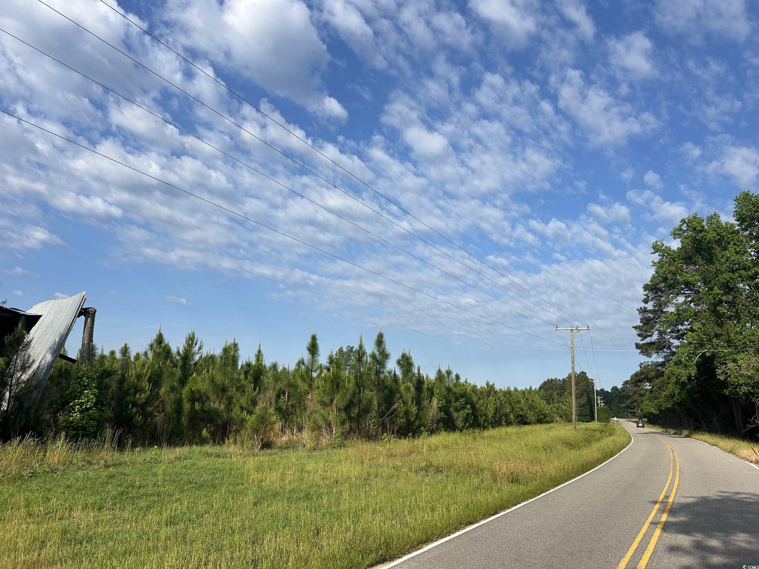 TBD Highway 430, Nichols, South Carolina image 9