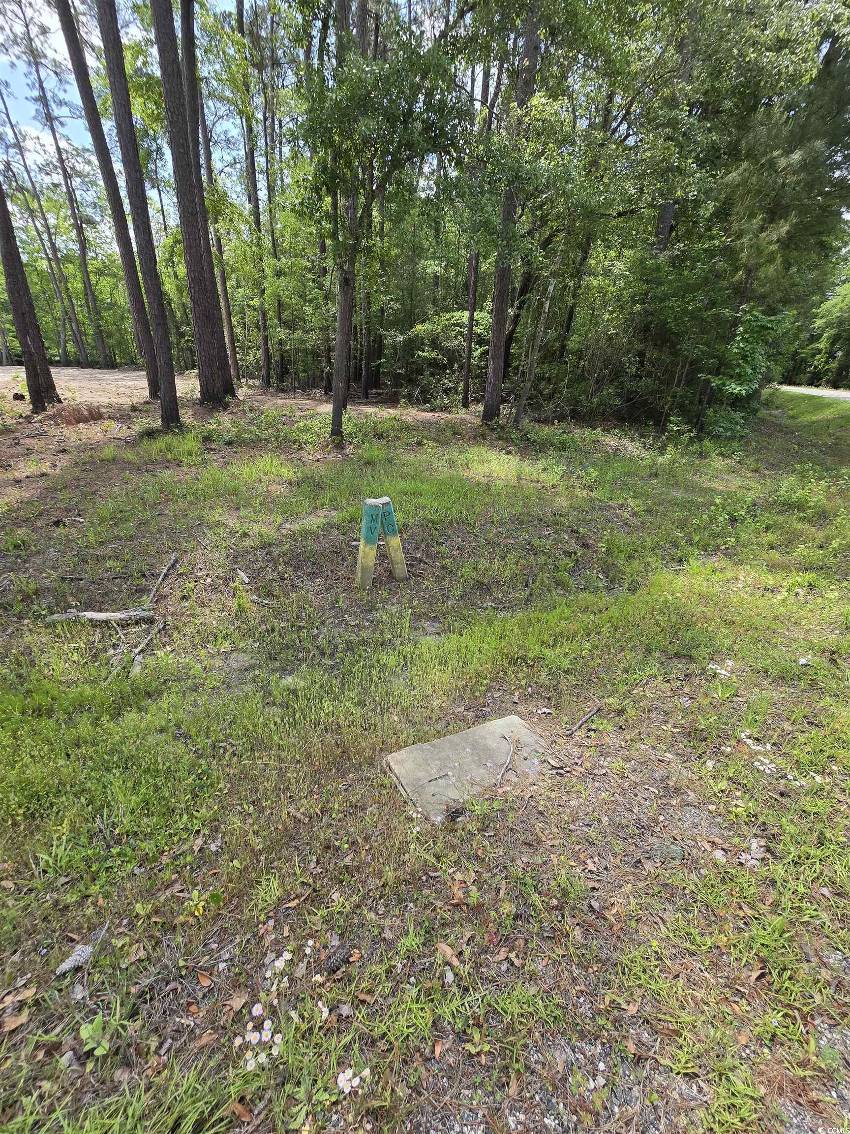 Lot 18 Cypress Knee Ct., Conway, South Carolina image 2