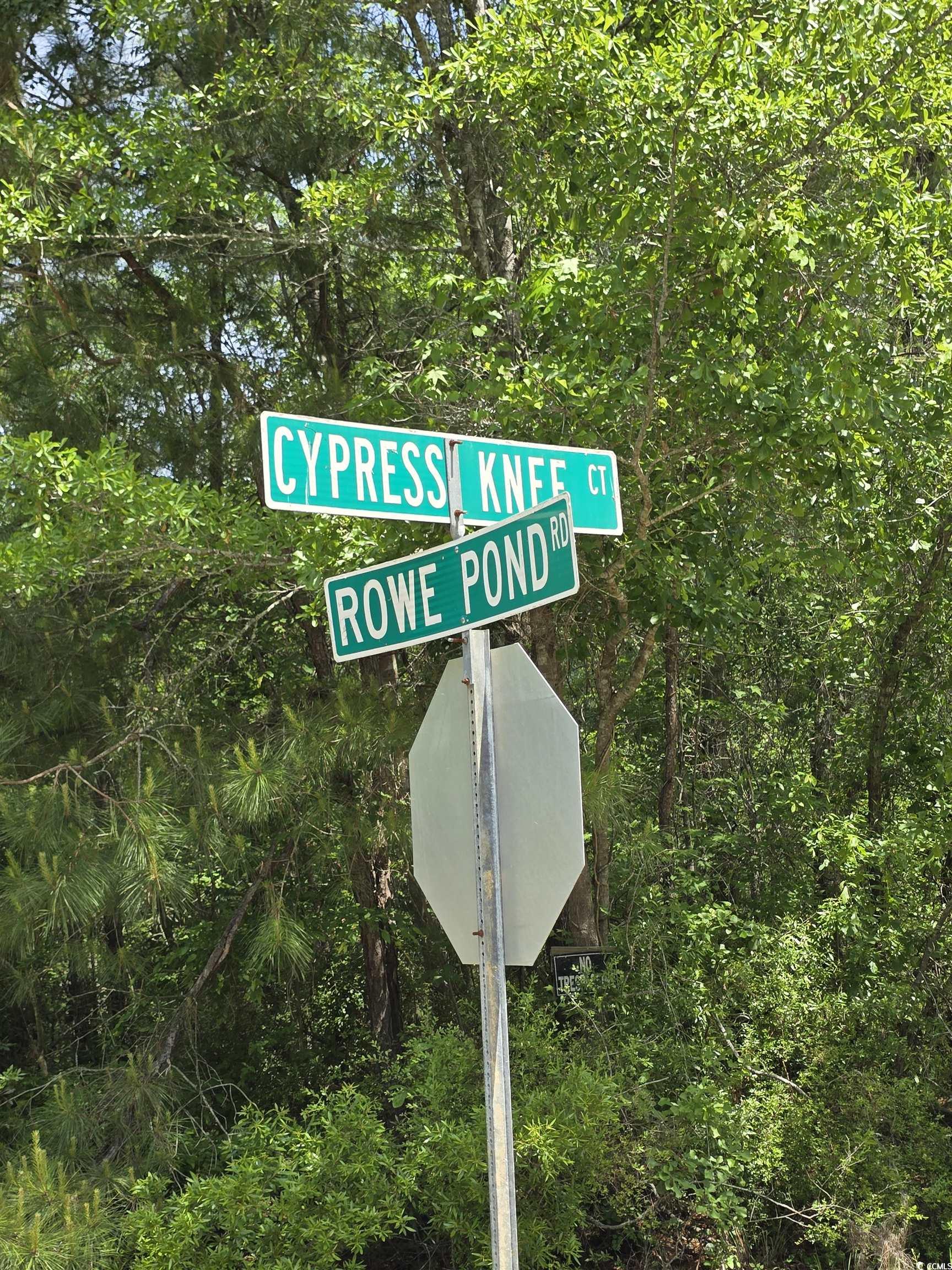 Lot 17 Rowe Pond Rd., Conway, South Carolina image 20