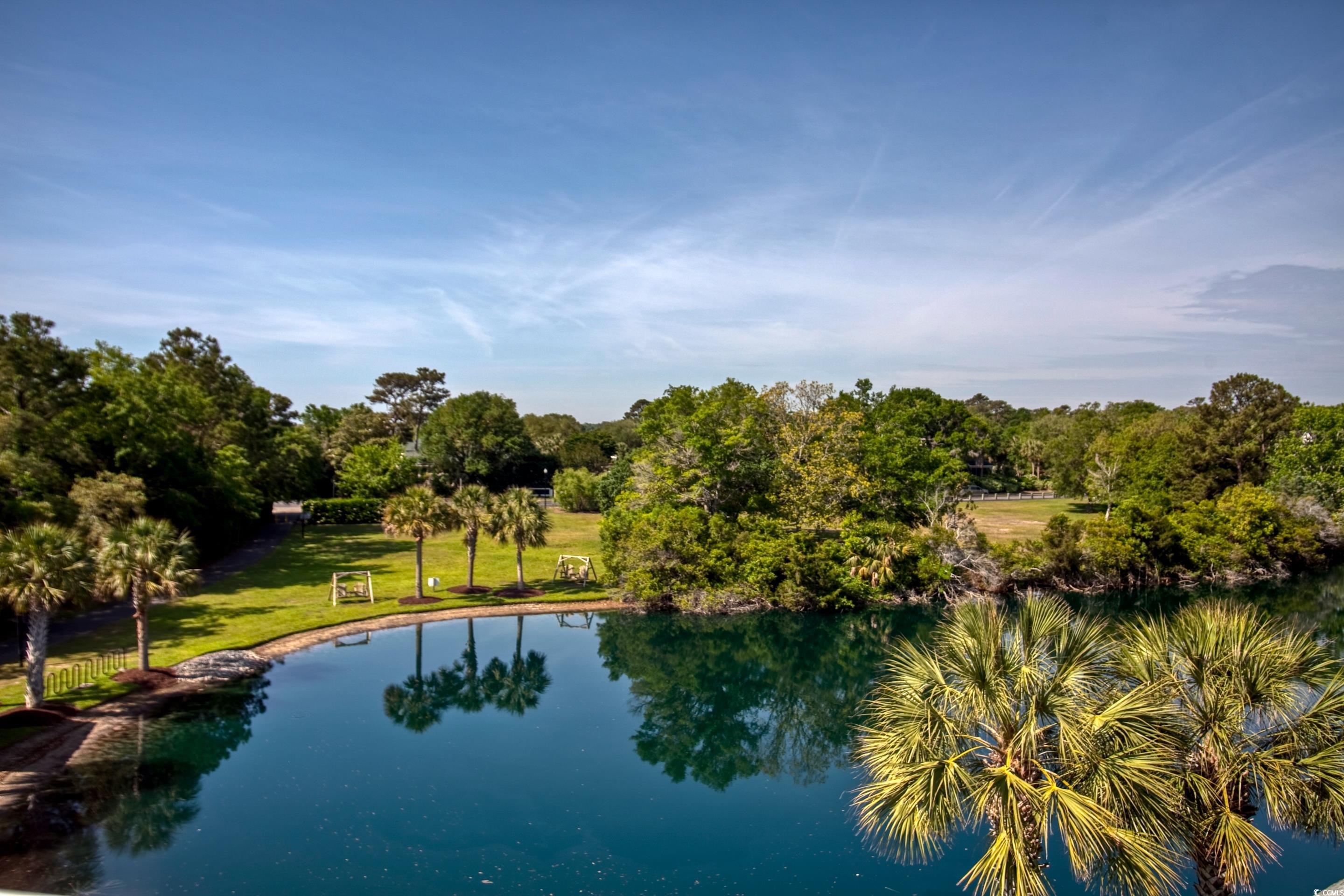 14290 Ocean Highway #312, Pawleys Island, South Carolina image 24