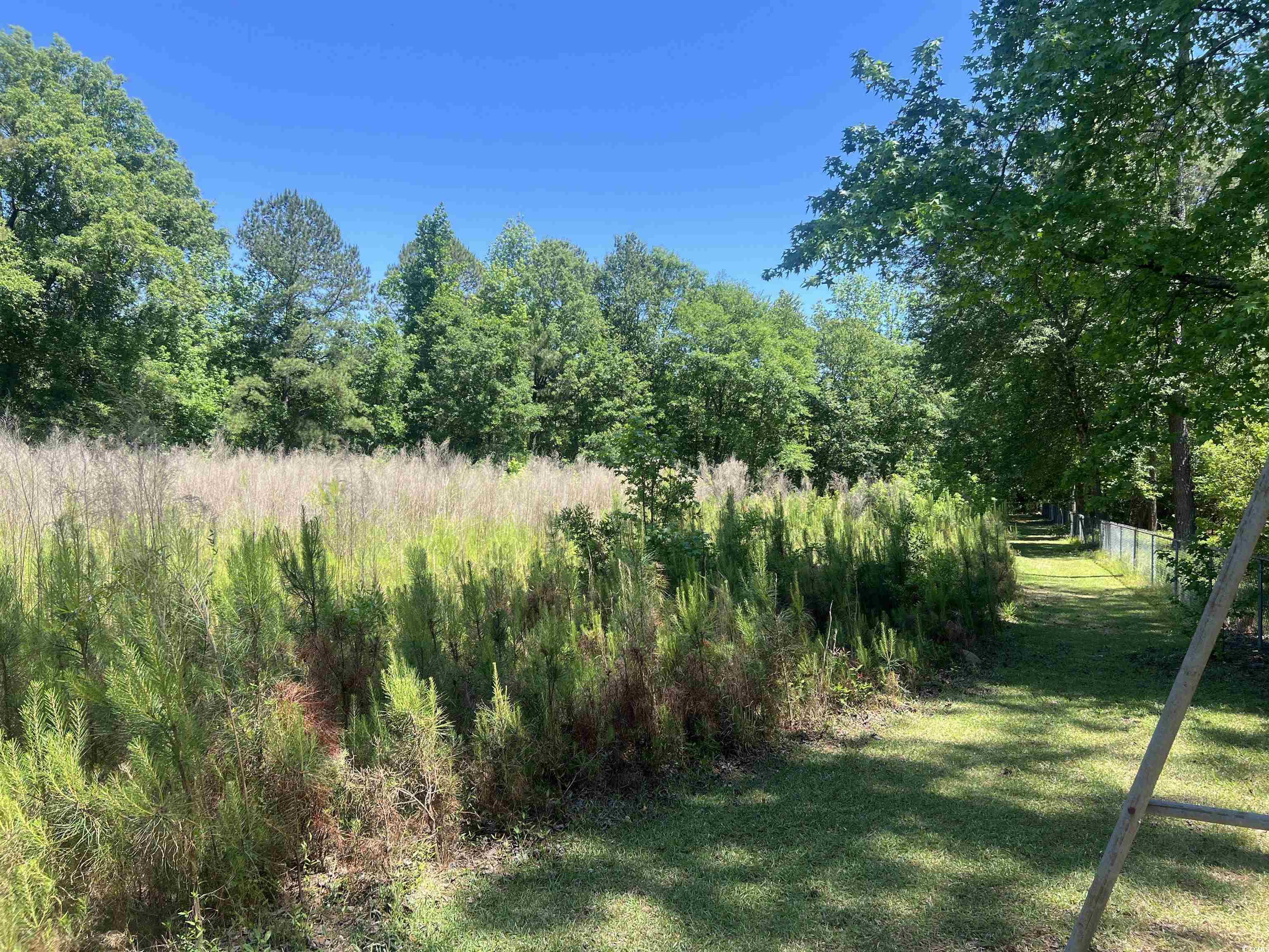 4552 Willow Creek Rd, Florence, South Carolina image 11