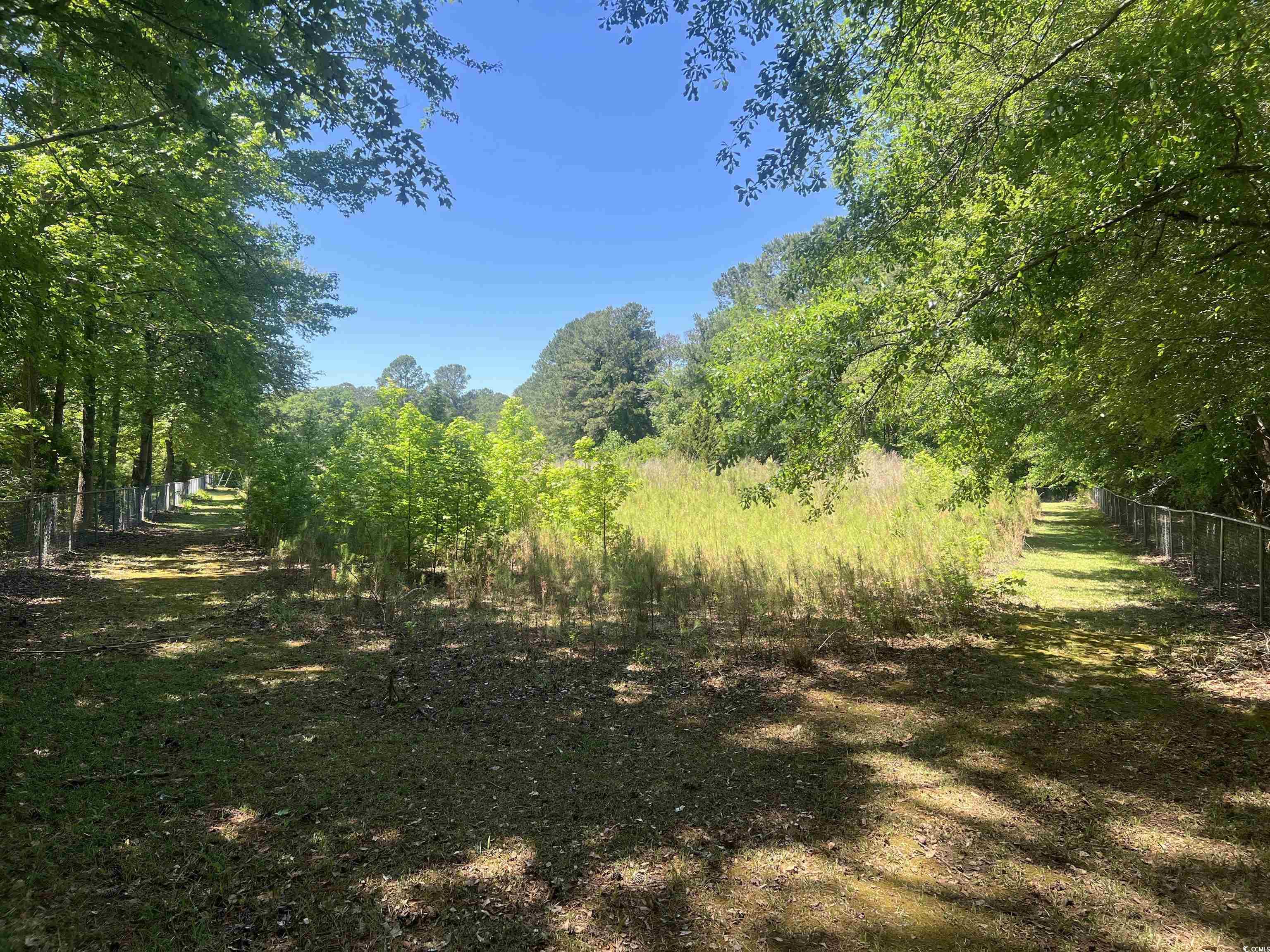 4552 Willow Creek Rd, Florence, South Carolina image 15