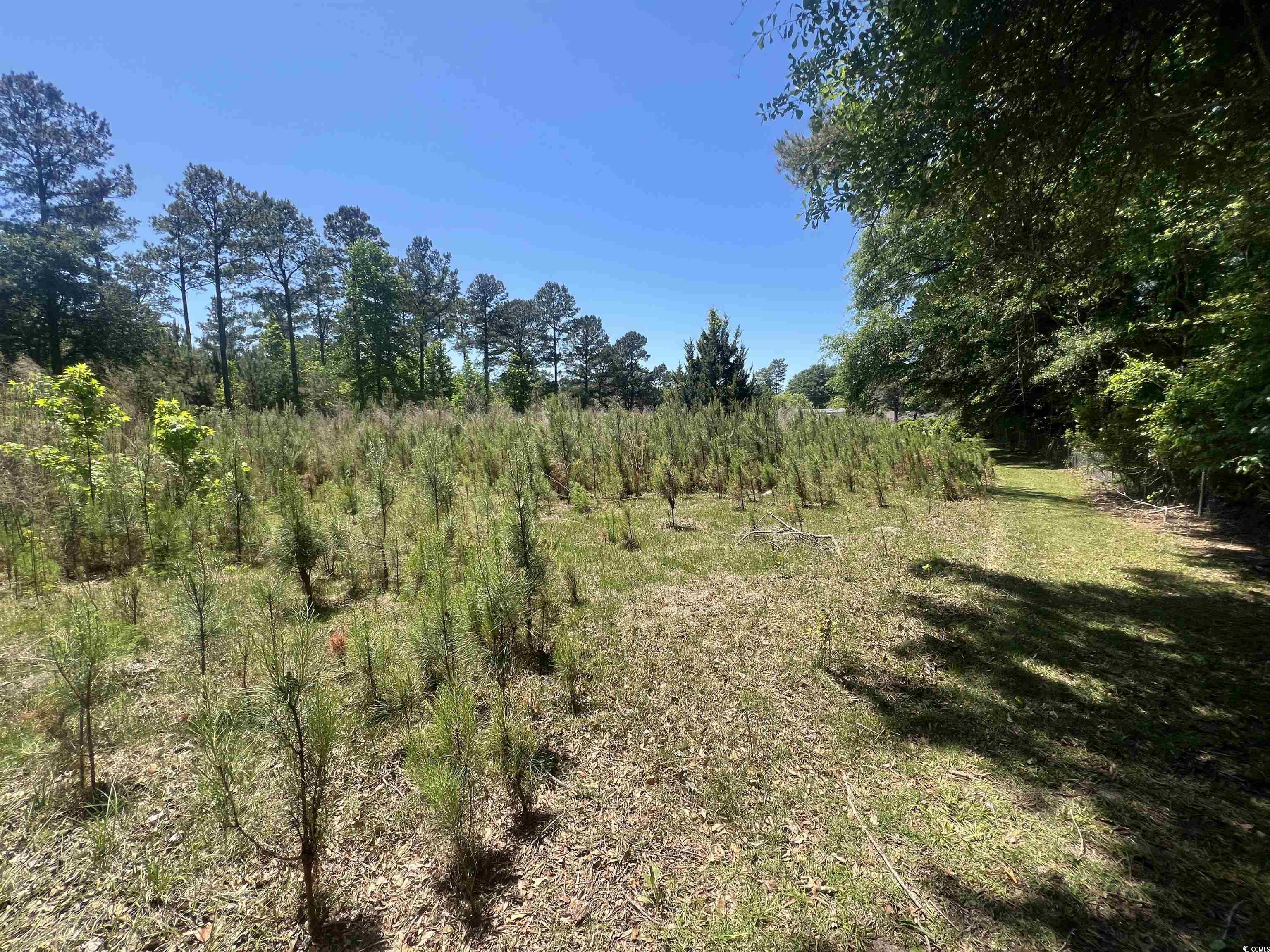 4552 Willow Creek Rd, Florence, South Carolina image 16