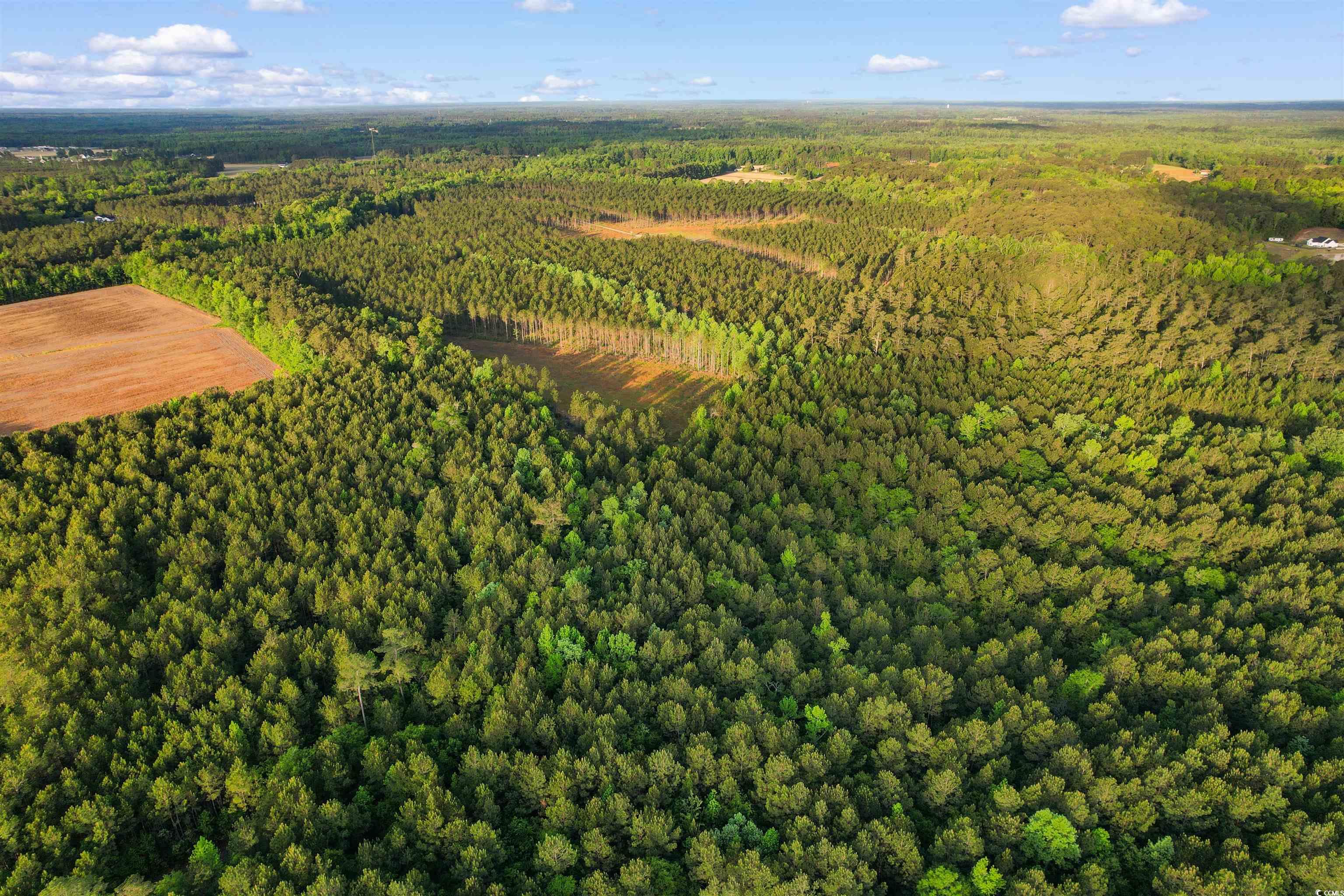TBD Dows Rd. Loris, SC 29569
