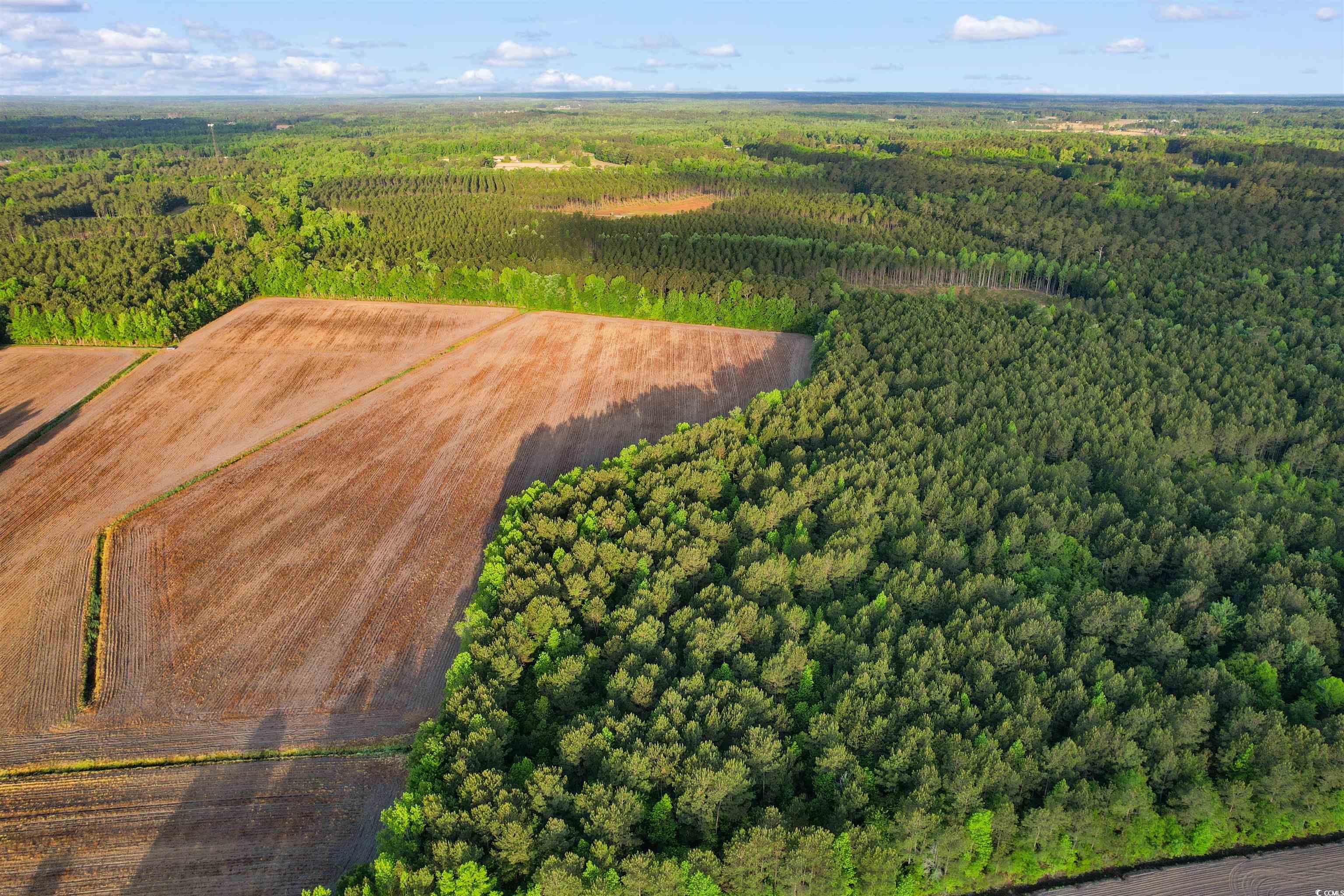 TBD Dows Rd., Loris, South Carolina image 11