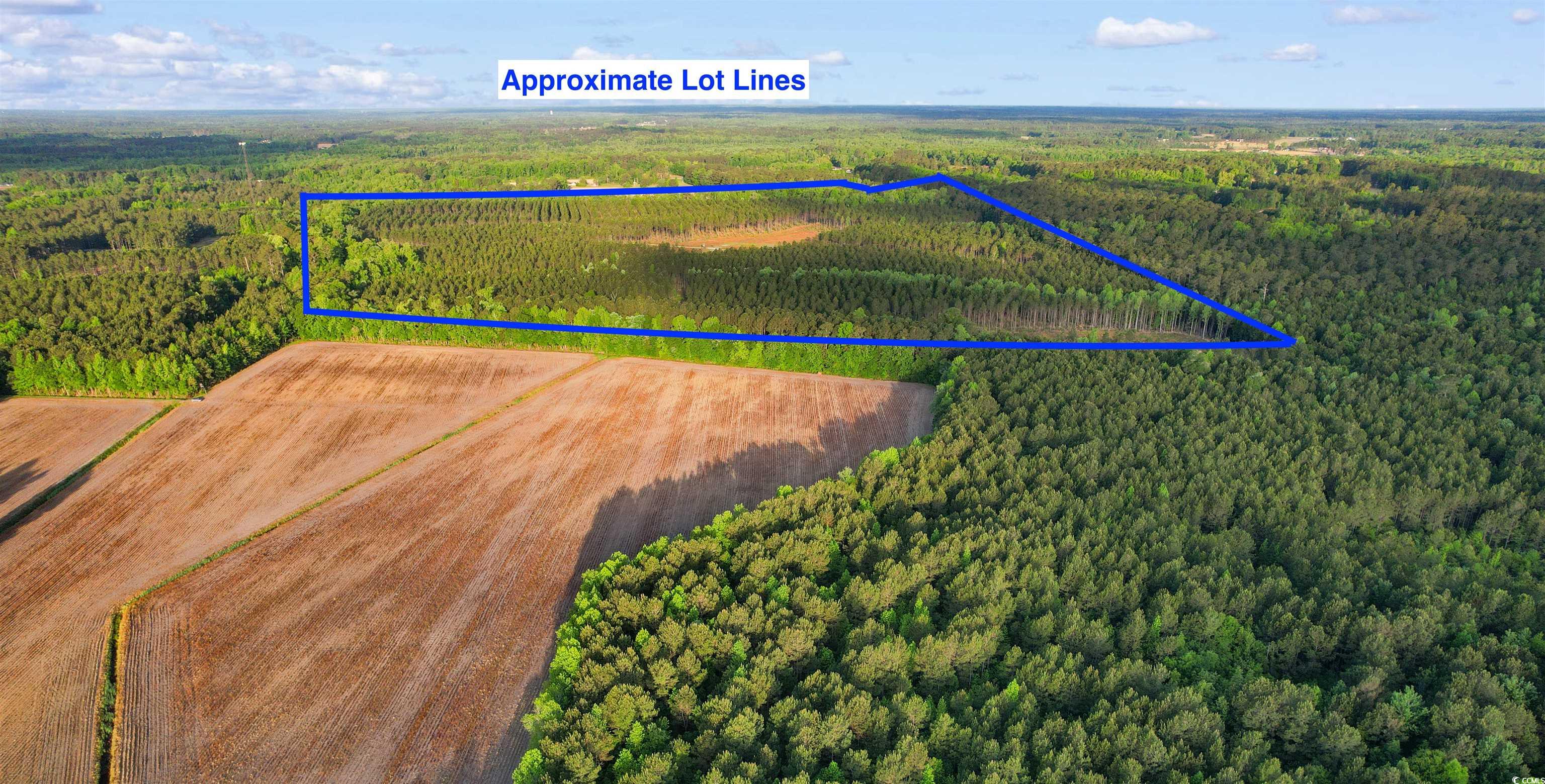 TBD Dows Rd., Loris, South Carolina image 12