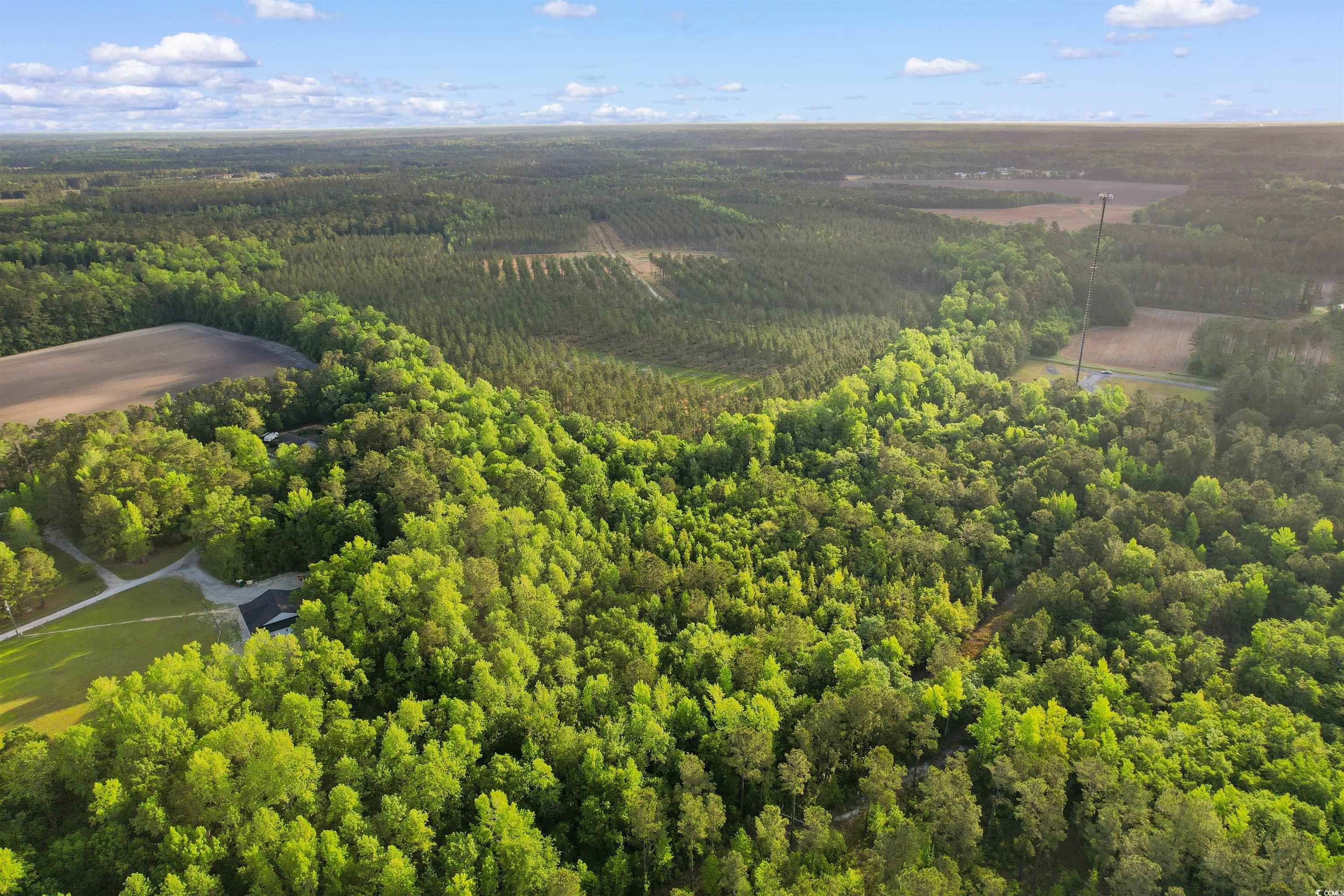 TBD Dows Rd., Loris, South Carolina image 13