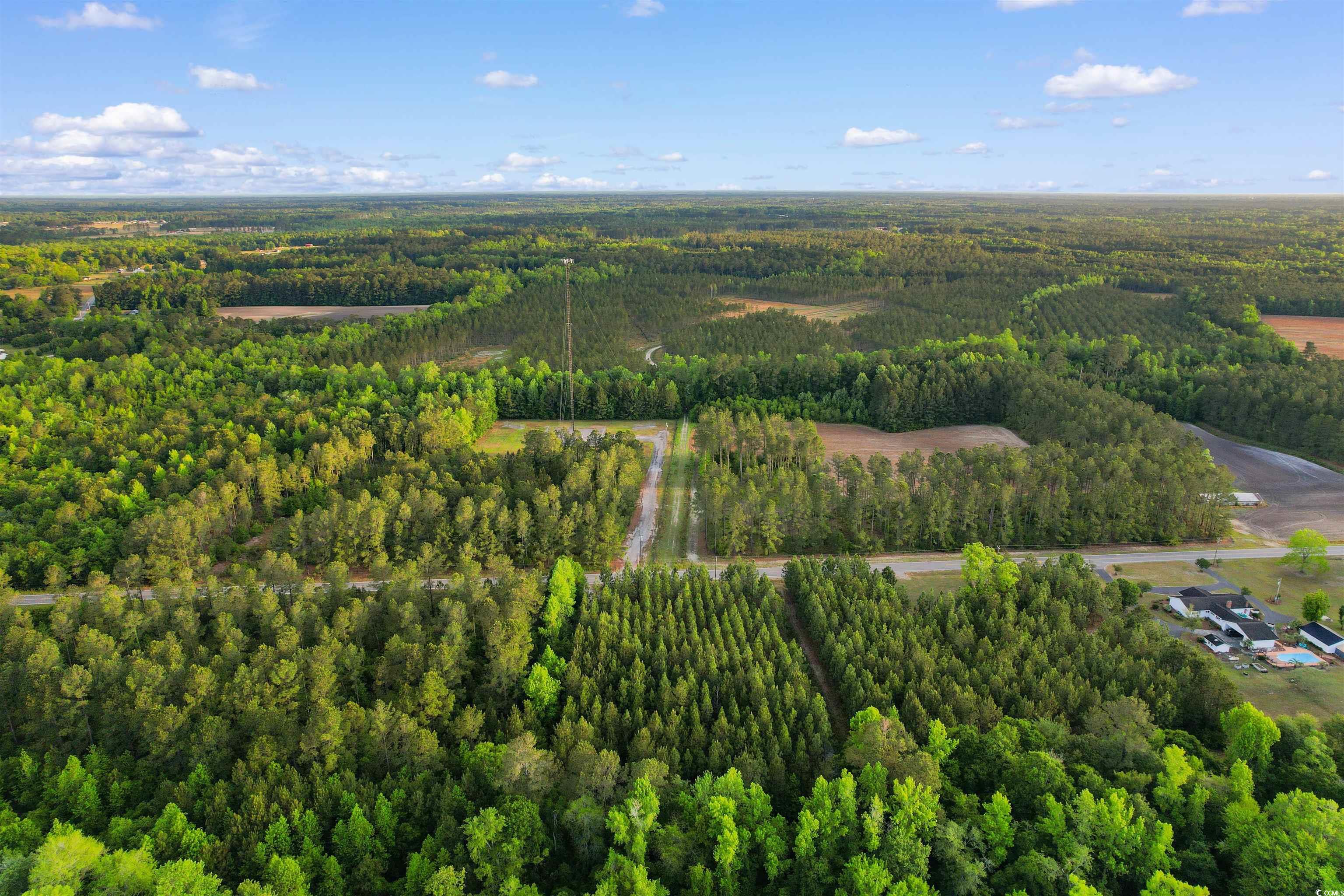 TBD Dows Rd., Loris, South Carolina image 14