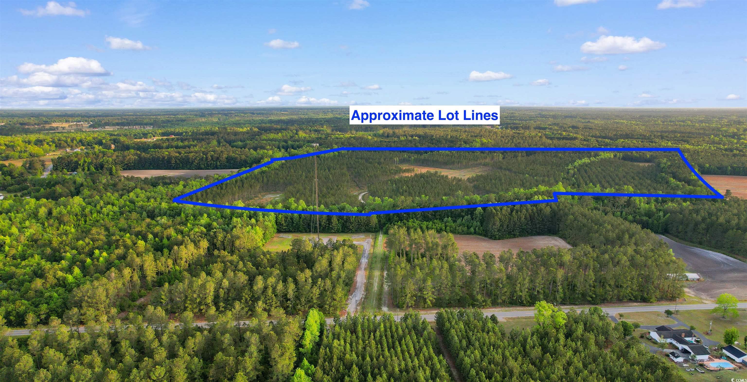 TBD Dows Rd., Loris, South Carolina image 15