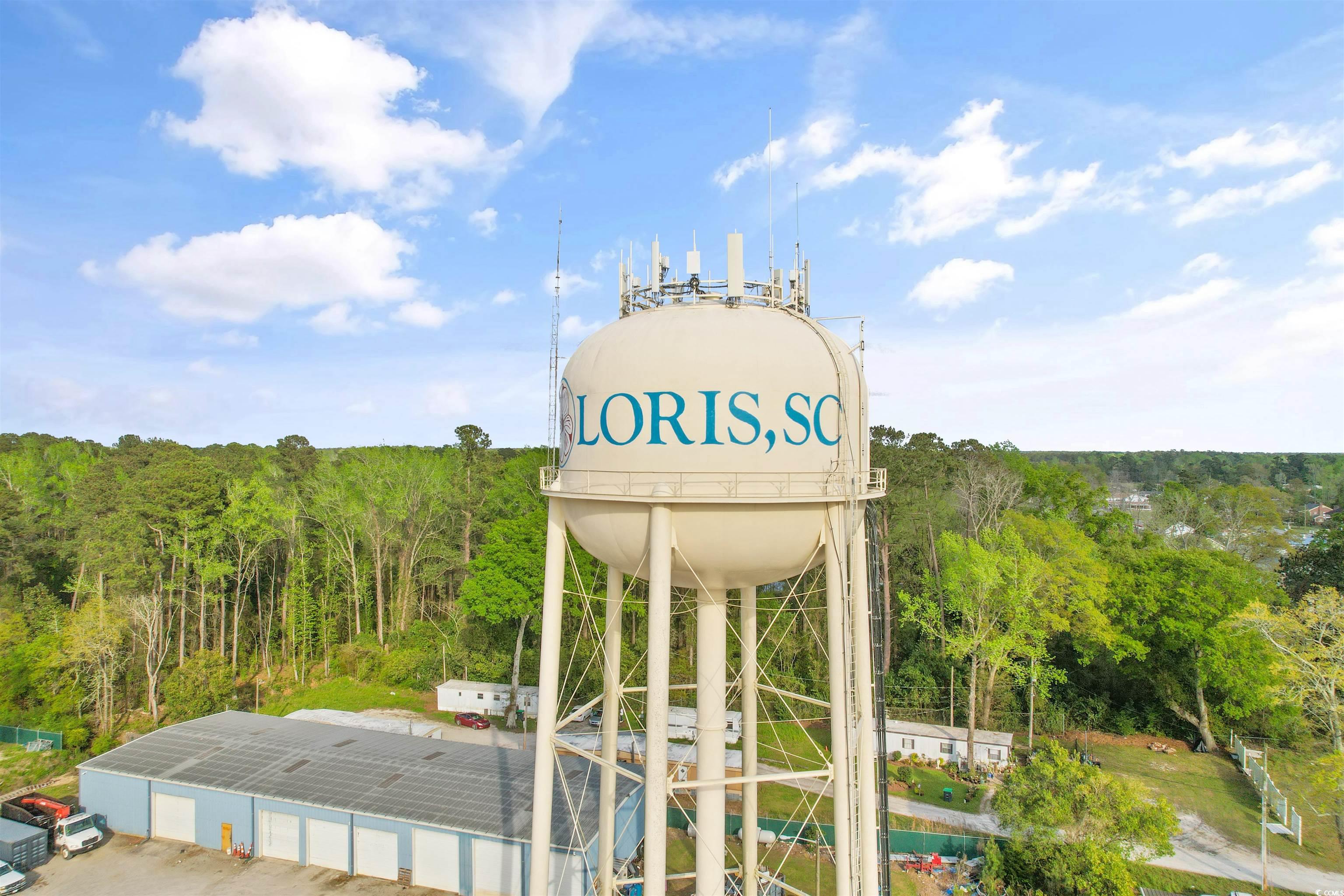 TBD Dows Rd., Loris, South Carolina image 19