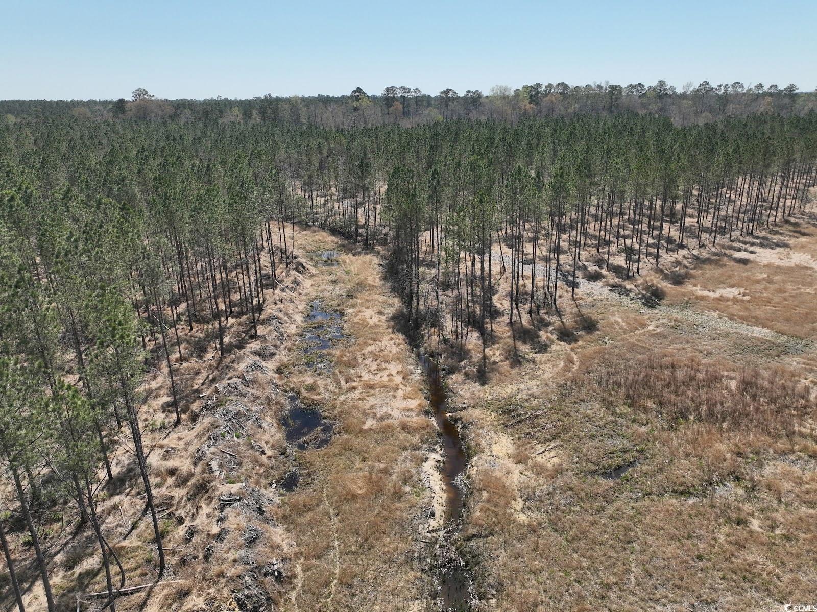 TBD Dows Rd., Loris, South Carolina image 2